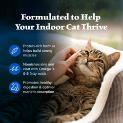 Blue Buffalo Wilderness indoor cat meal bowl shows balanced portions for indoor lifestyles.