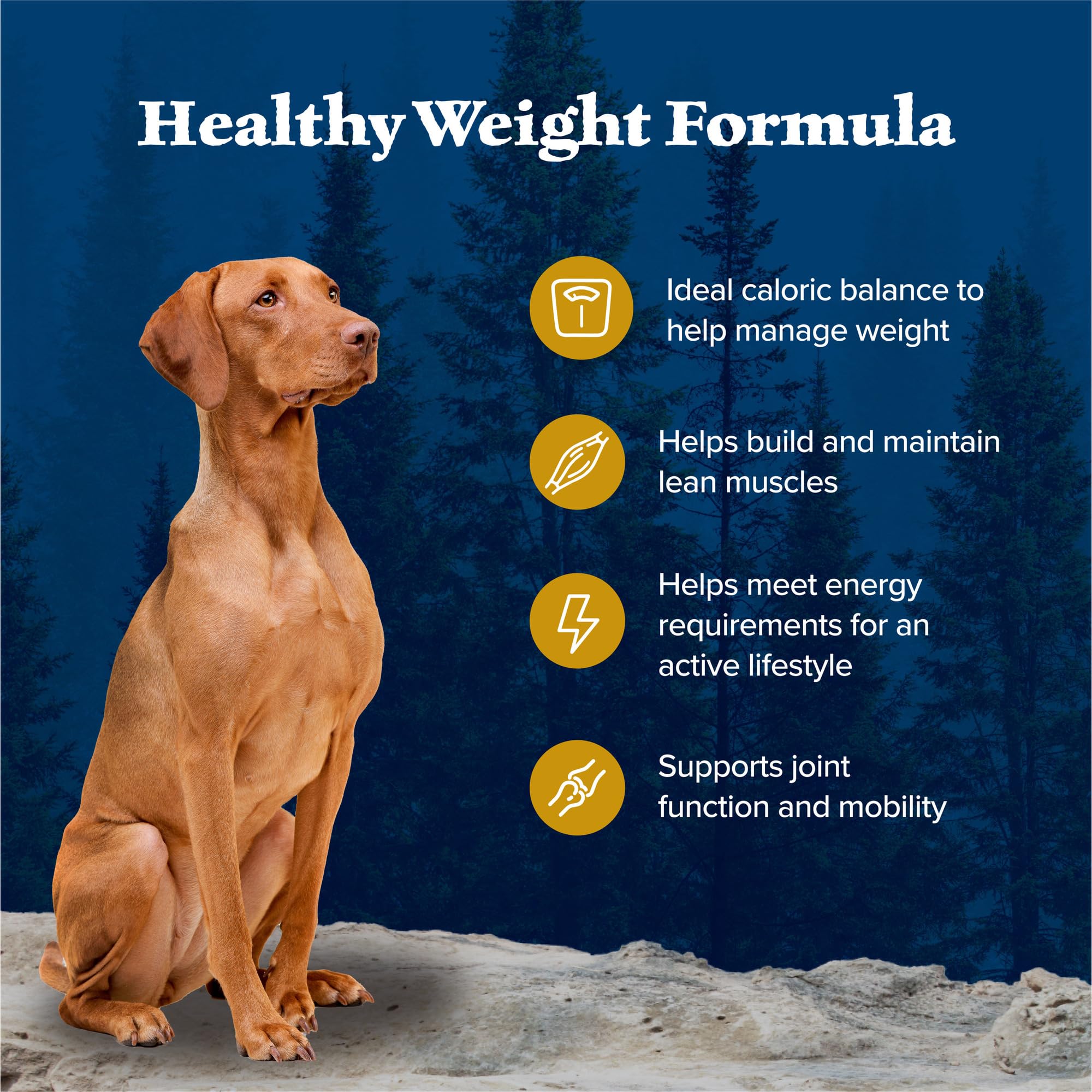 Kibble texture and size showcase protein-forward formula designed for lean muscle.