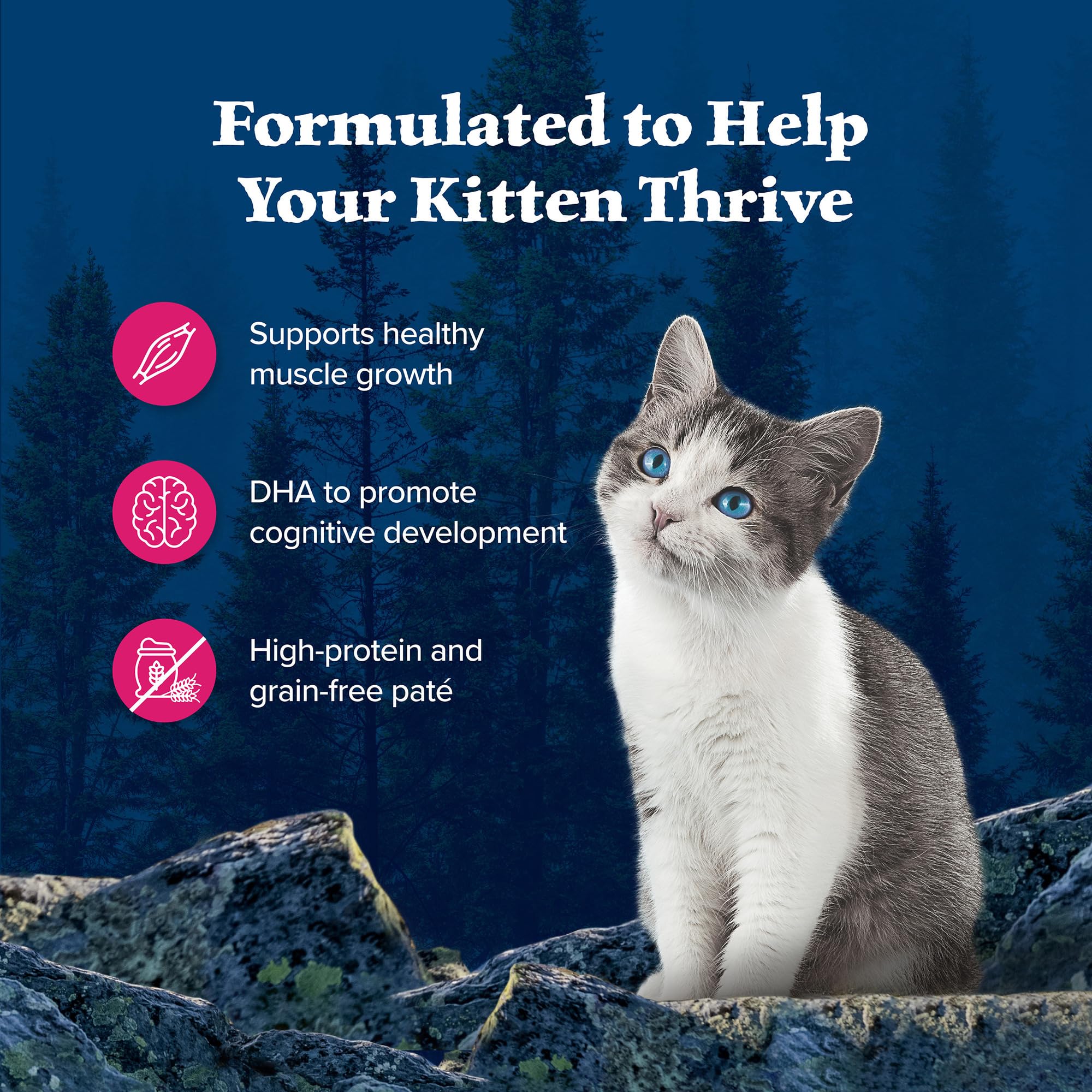 Blue Buffalo Wilderness kitten DHA supports cognitive development during growth