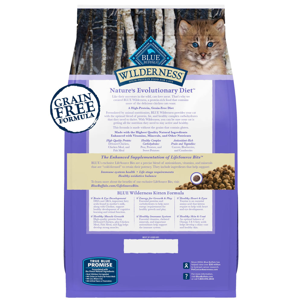 Blue Buffalo Wilderness kitten kibble close-up shows high-protein chicken for sustained energy.