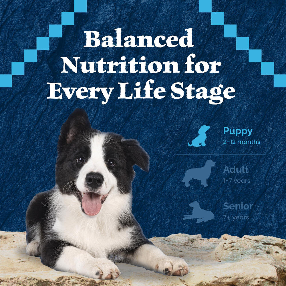 Blue Buffalo Wilderness ingredient panel highlights natural ingredients and transparent labeling.