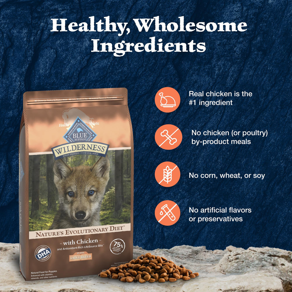 Blue Buffalo Wilderness wholesome grains visual signaling balanced carbohydrates for steady energy.