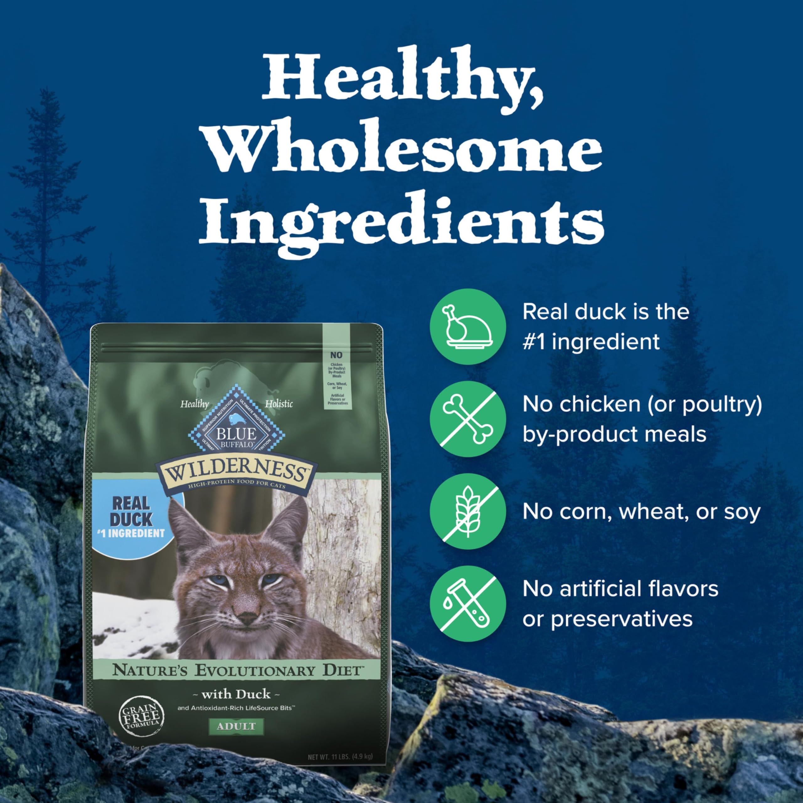 Blue Buffalo Wilderness LifeSource Bits visual representing antioxidant-rich nutrition