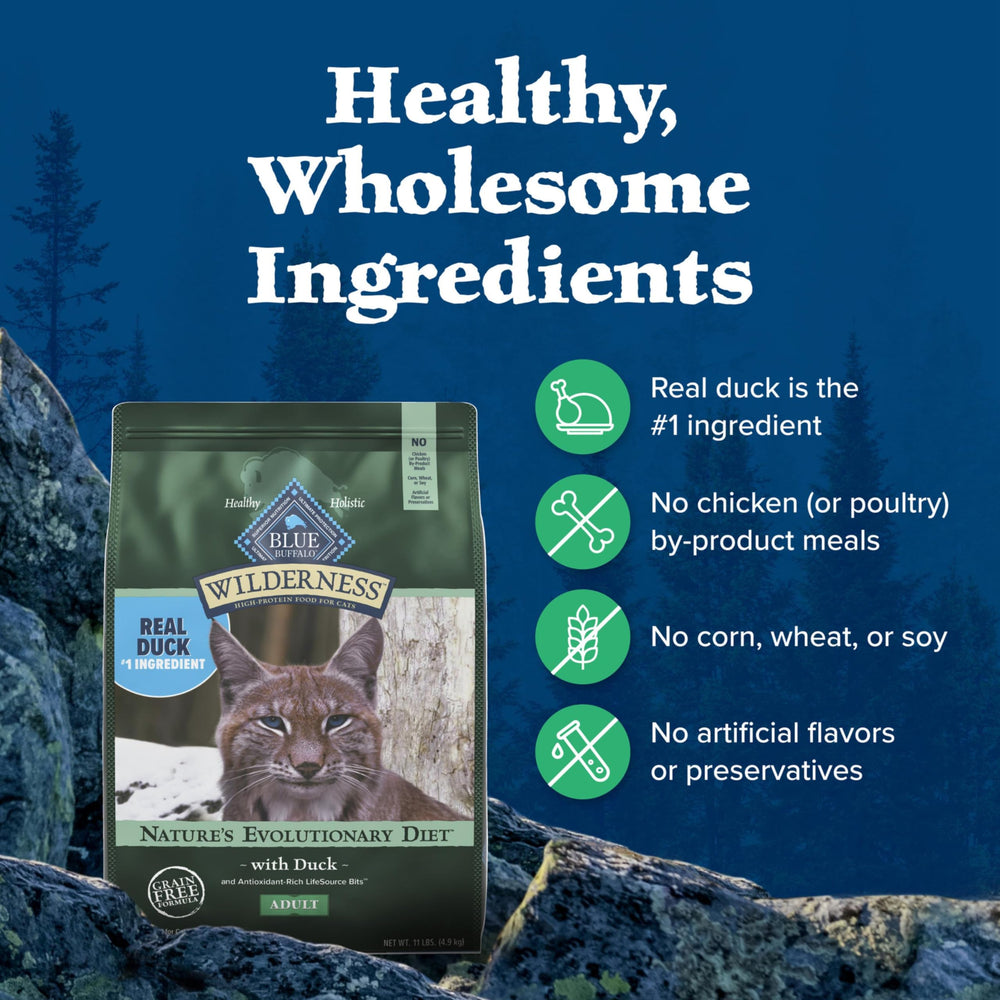 Blue Buffalo Wilderness LifeSource Bits visual representing antioxidant-rich nutrition