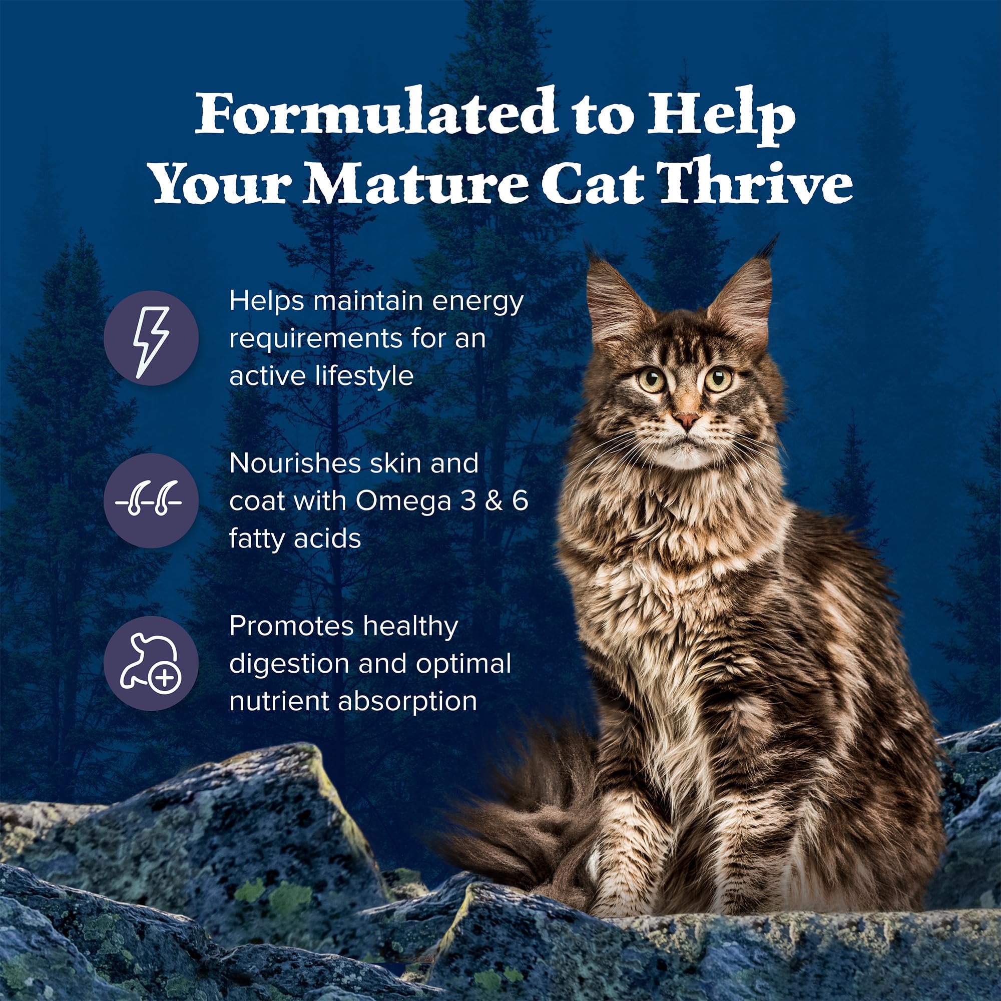 No by-product meals and no corn, wheat, or soy in this senior formula