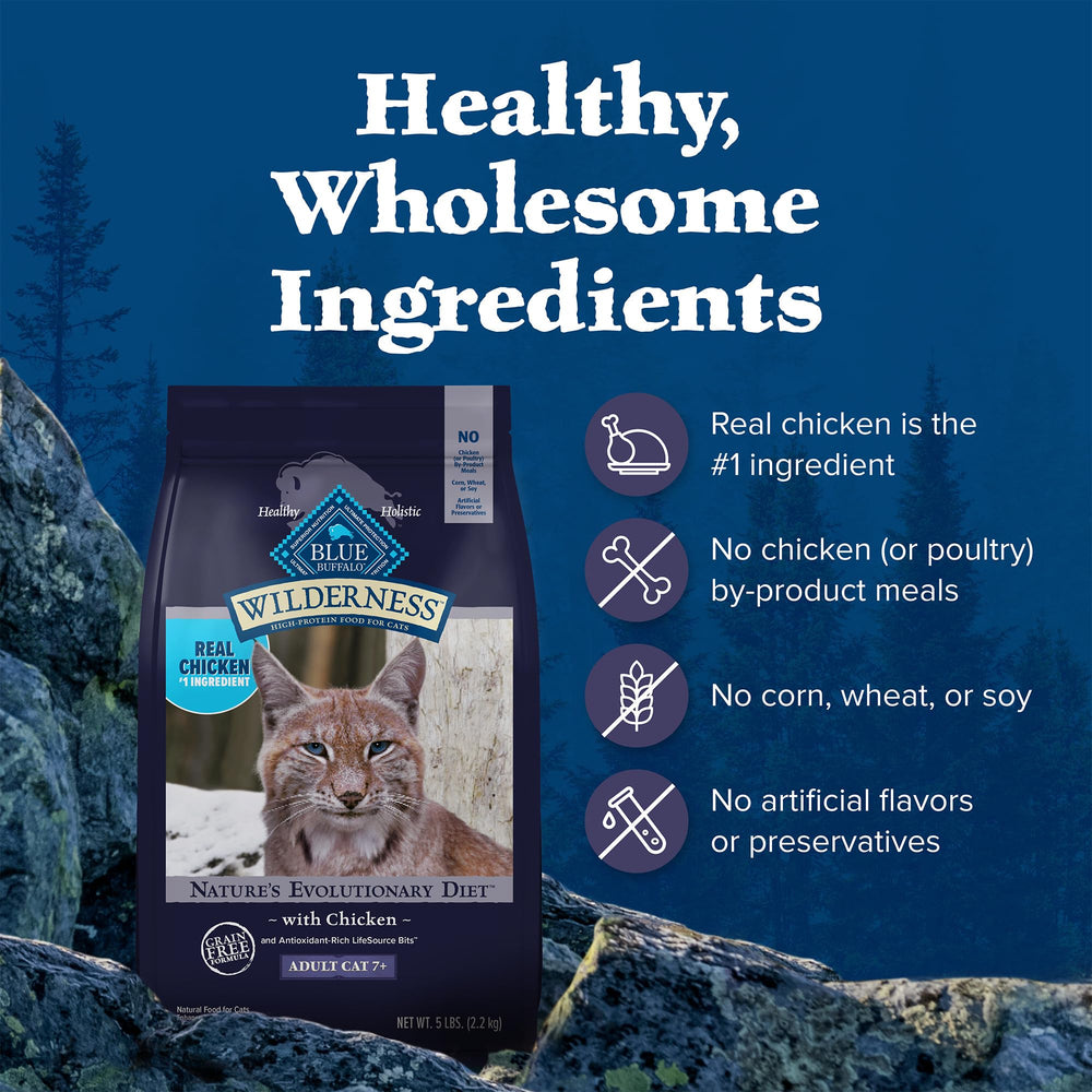 Serving bowl with Blue Buffalo Wilderness Mature cat food ready to serve