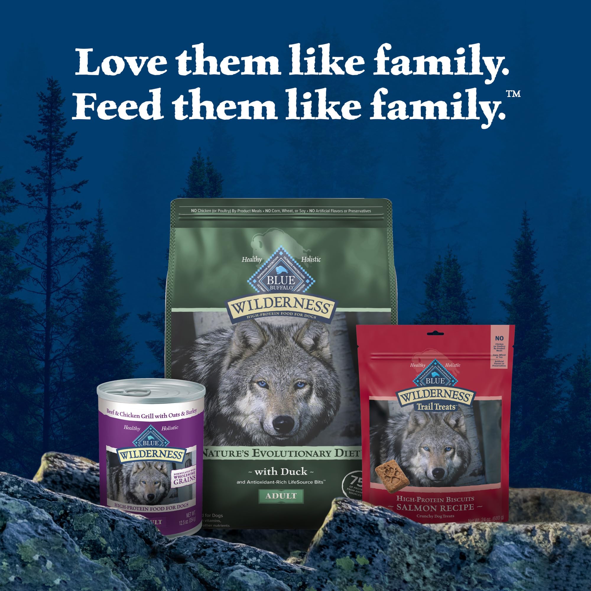 Blue Buffalo Wilderness natural dry dog food image poured into bowl.