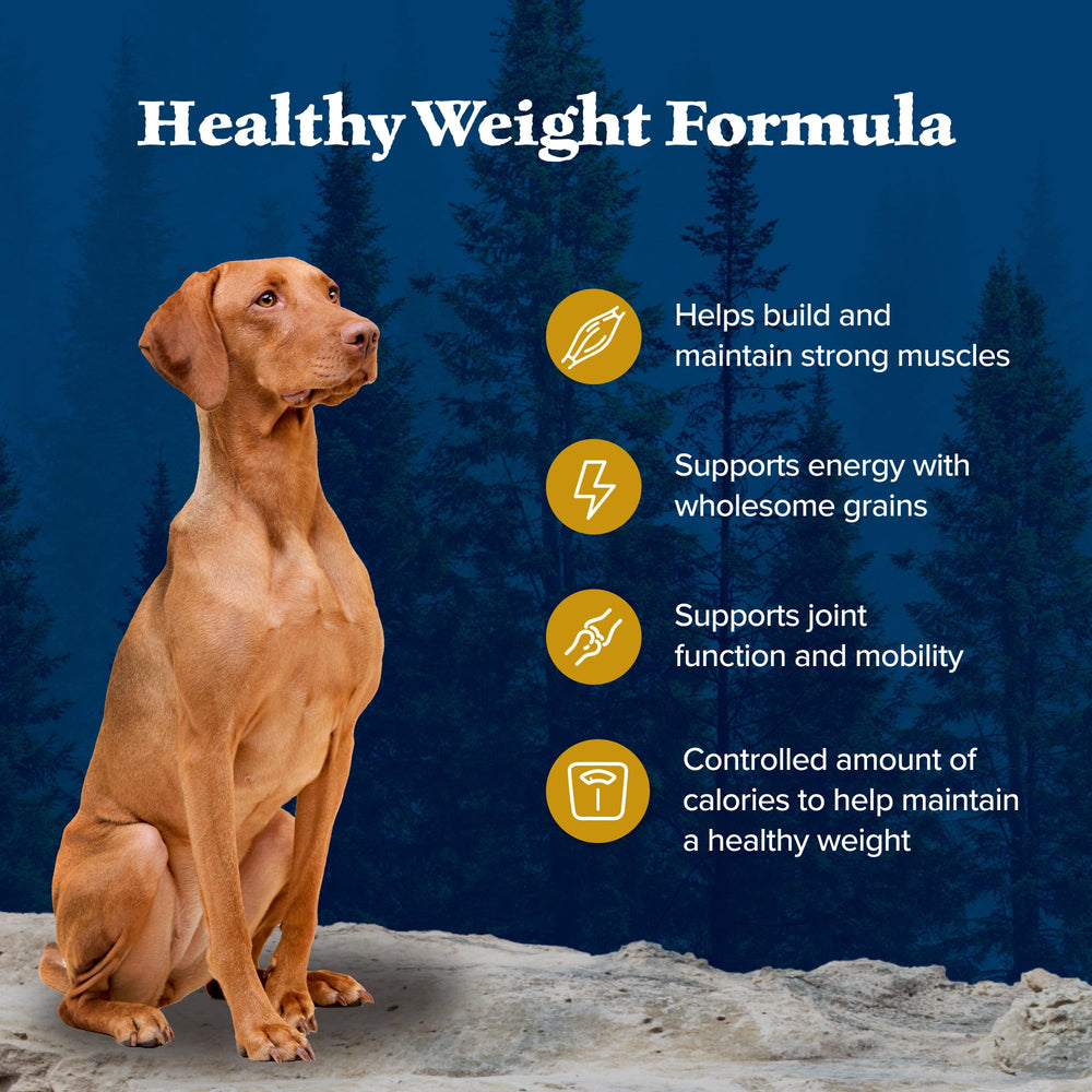 Blue Buffalo Wilderness no-by-product image promotes wholesome ingredients without poultry by-product meals.