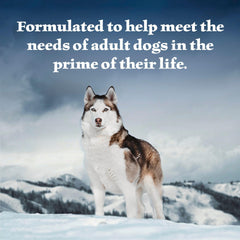 Blue Buffalo Wilderness can shows no chicken by-product meals, appealing to dogs with sensitive digestion.