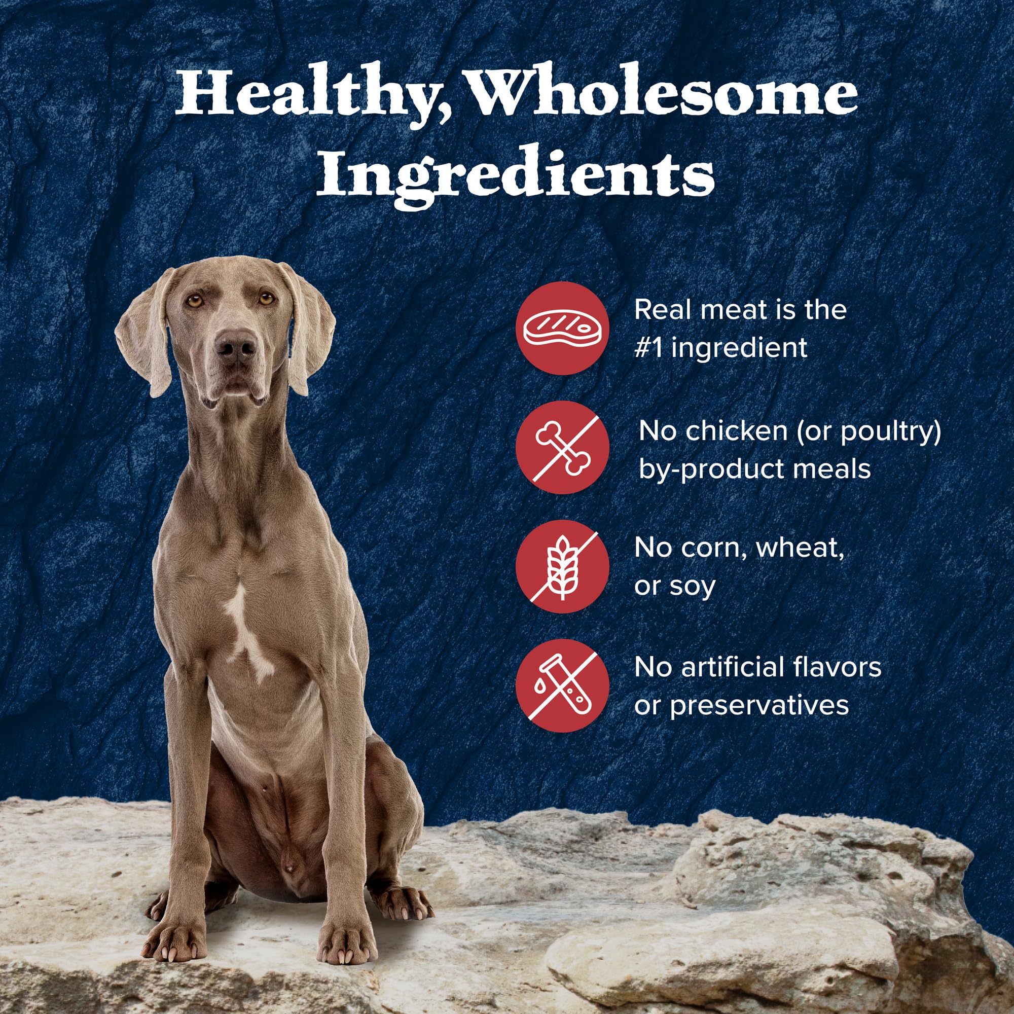Blue Buffalo Wilderness no-chicken-by-products formula offers grain-free meal options.