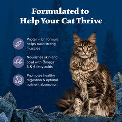 No corn wheat soy graphic emphasizes grain-free natural nutrition for adult cats.