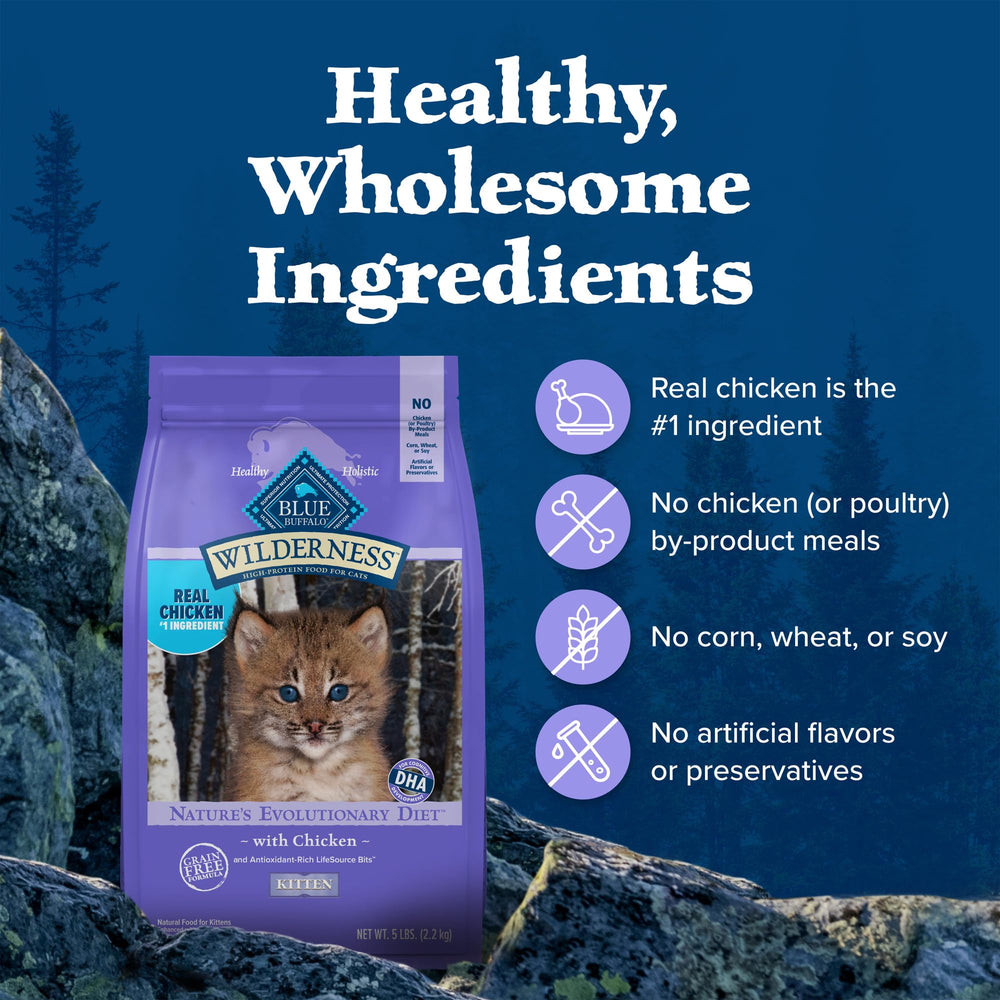 Blue Buffalo Wilderness 2-lb bag front view signals convenient, kit-friendly portioning.