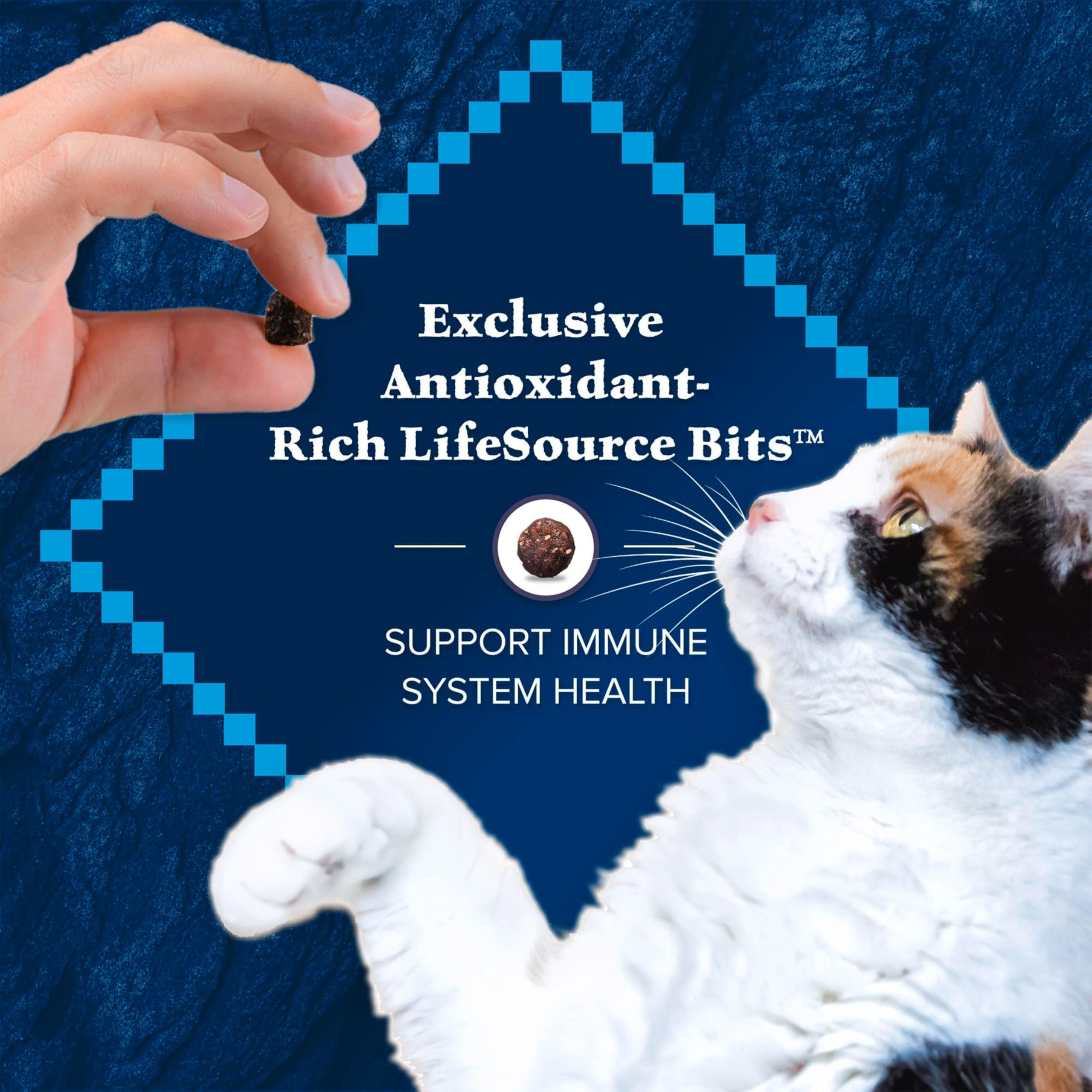 Blue Buffalo Wilderness omega-3-6 graphic for coat and skin health