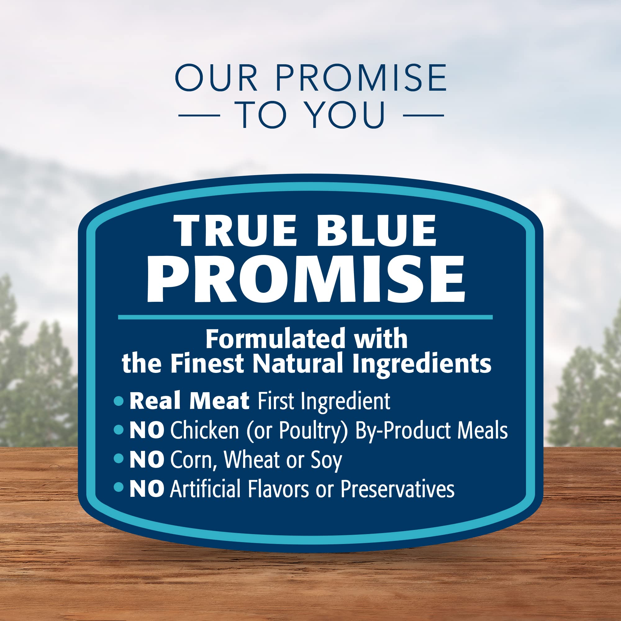 Blue Buffalo Wilderness smooth pate texture appeals to cats with a preference for soft bites.