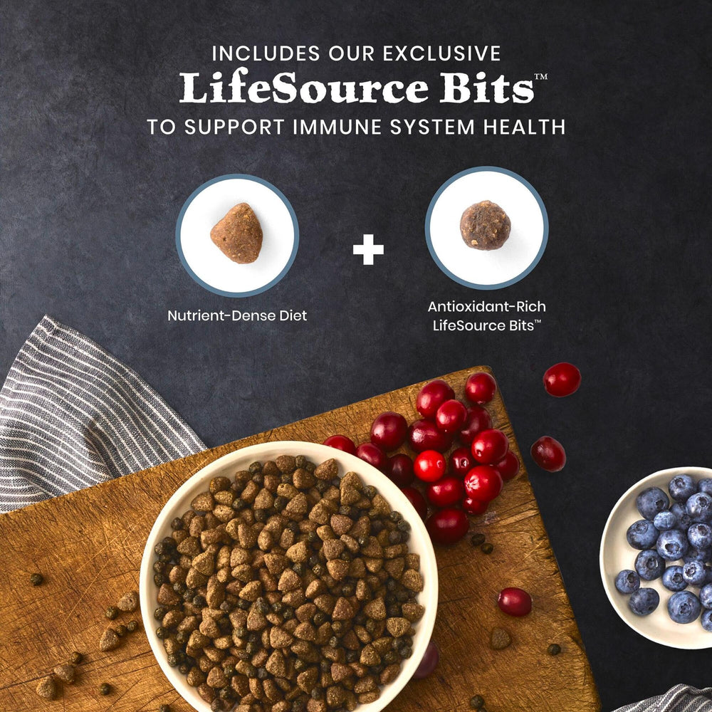 Blue Buffalo Wilderness 38-grams-per-serving protein emphasizes robust nutrition.