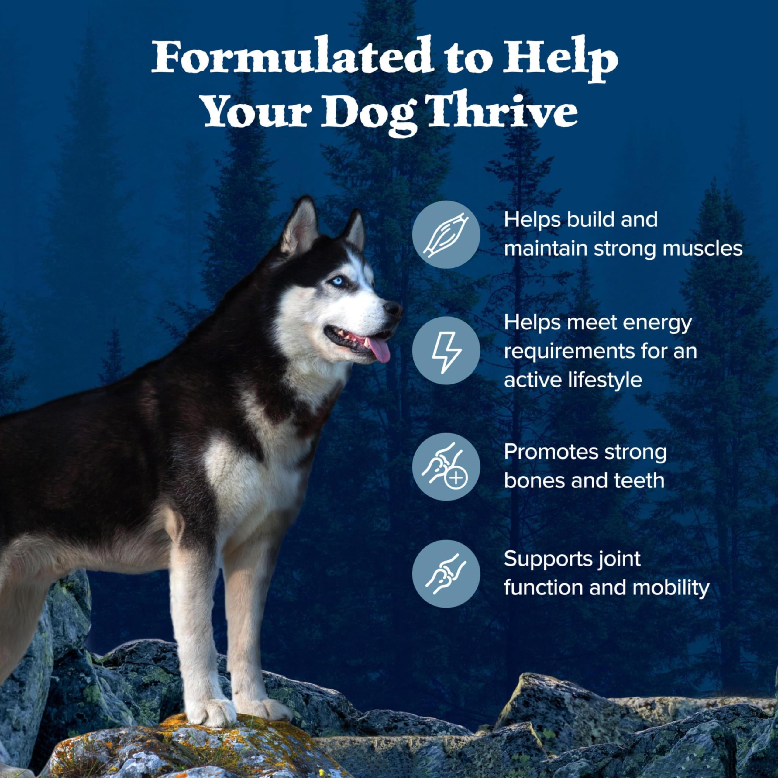 Blue Buffalo Wilderness protein-rich kibble close-up demonstrating nutrition