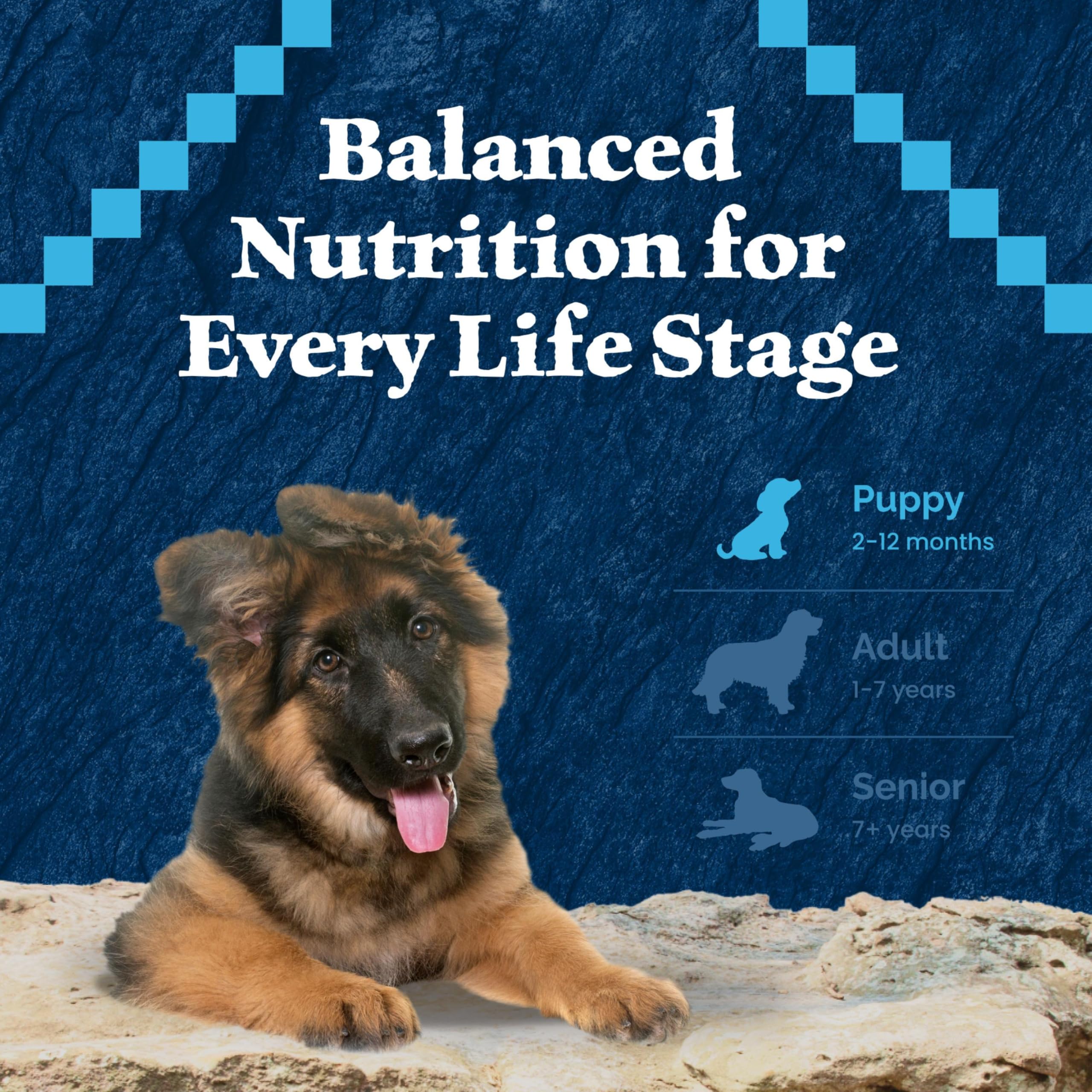 Blue Buffalo Wilderness Puppy 24lb bag stands for convenient long-term feeding