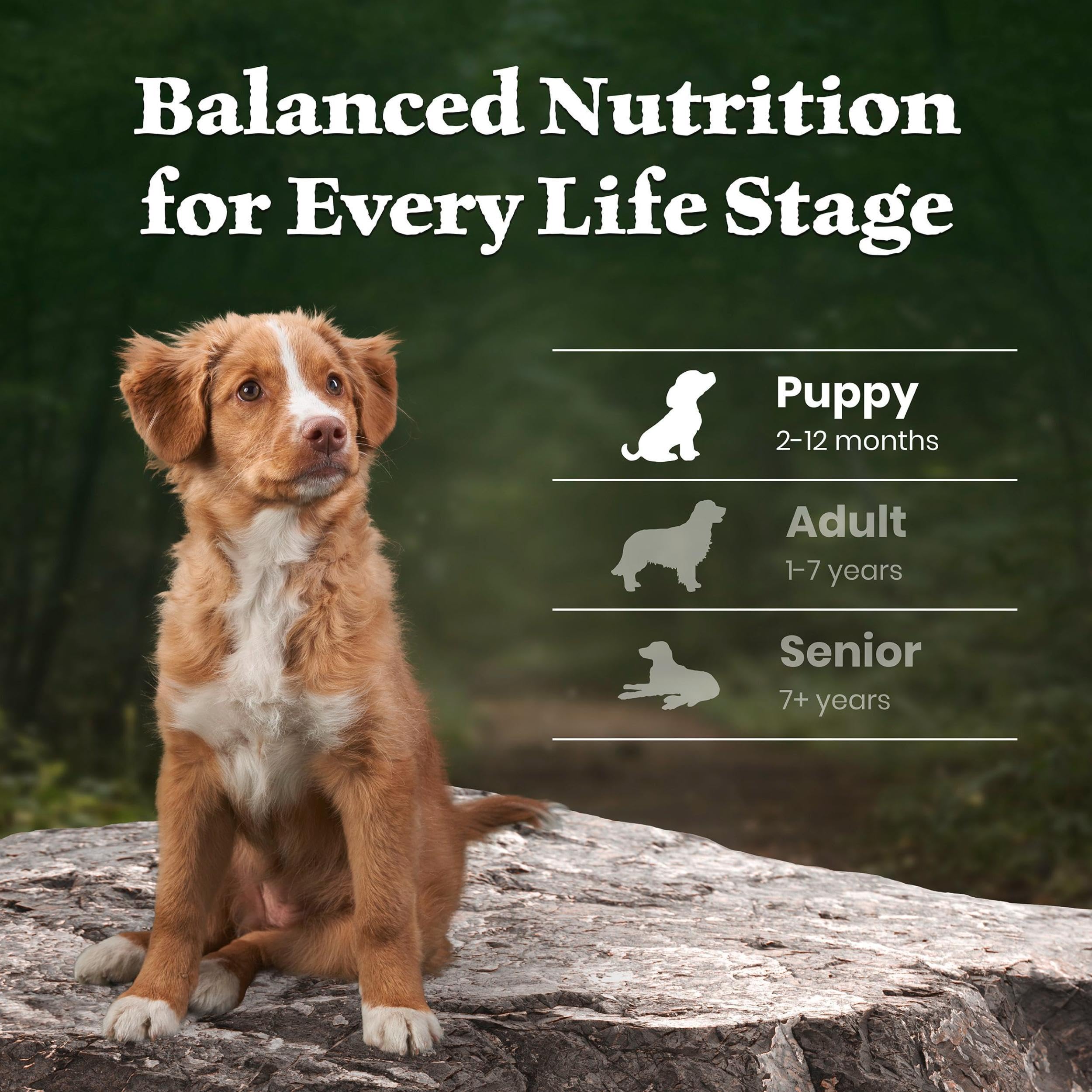 Blue Buffalo Wilderness 4.5lb bag display offers convenient puppy nutrition on the go.
