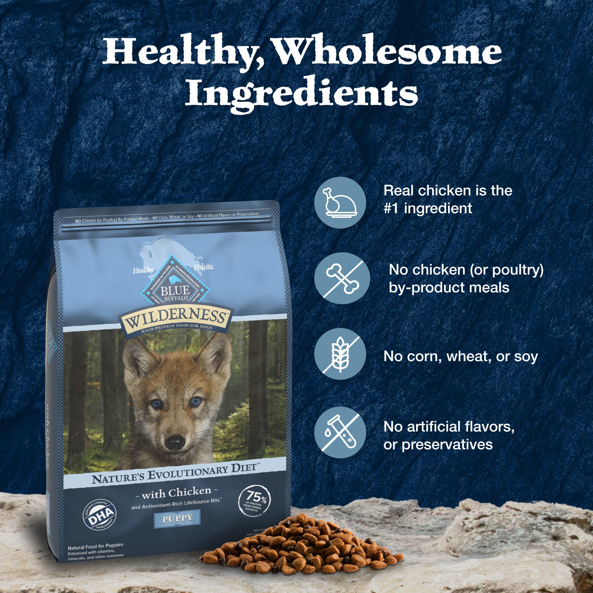 Blue Buffalo Wilderness Puppy scene highlights DHA for cognitive development and energy.