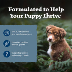 Blue Buffalo Wilderness Puppy DHA label highlights cognitive development support for puppies.
