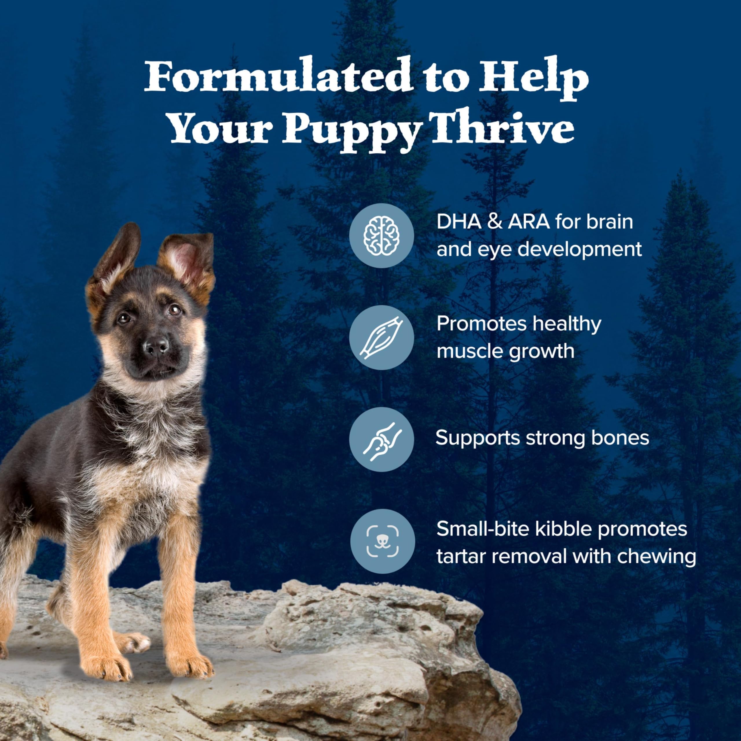 Blue Buffalo Wilderness Puppy fruits and vegetables suggest natural nutrition and antioxidants