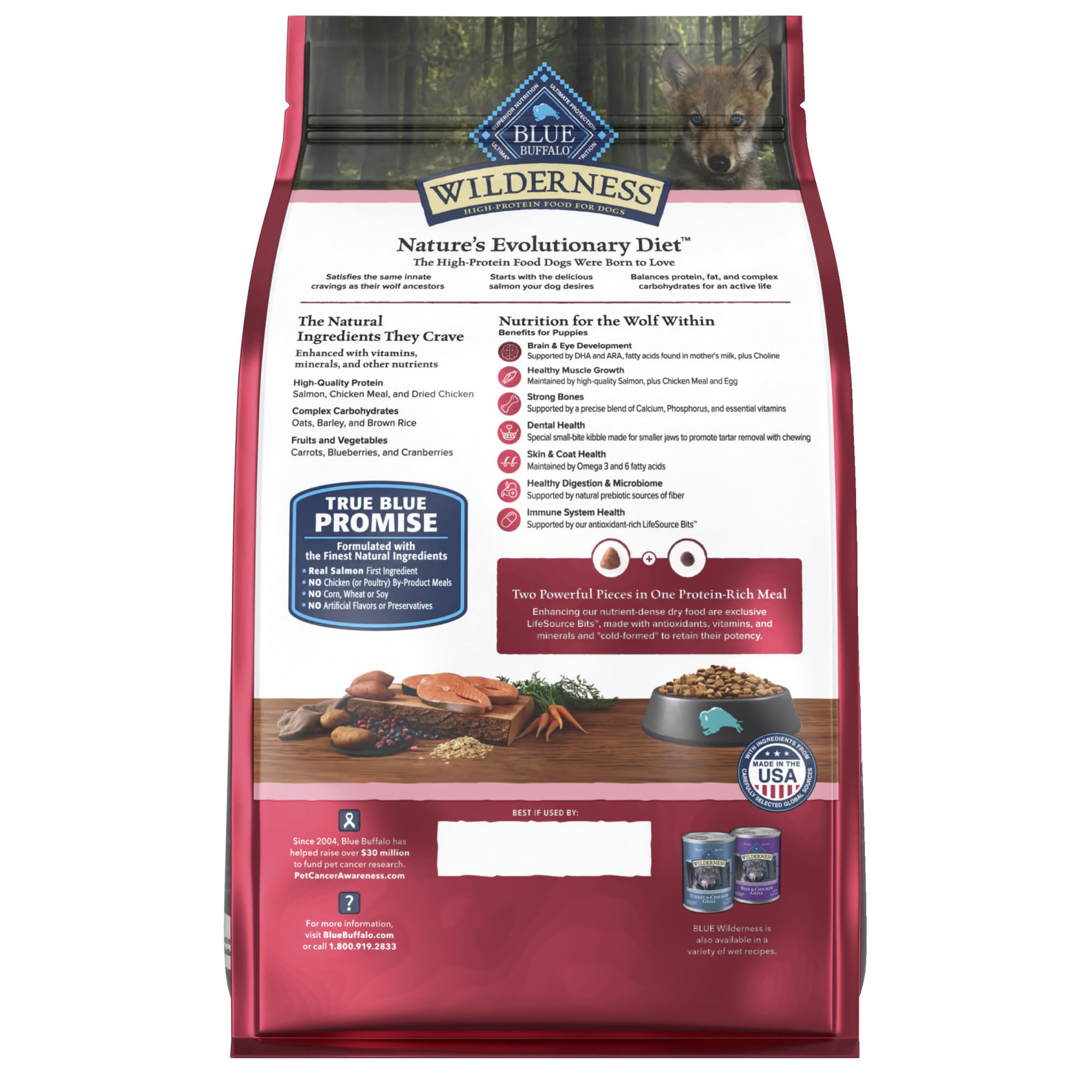 Blue Buffalo Wilderness puppy kibble closeup for healthy growth
