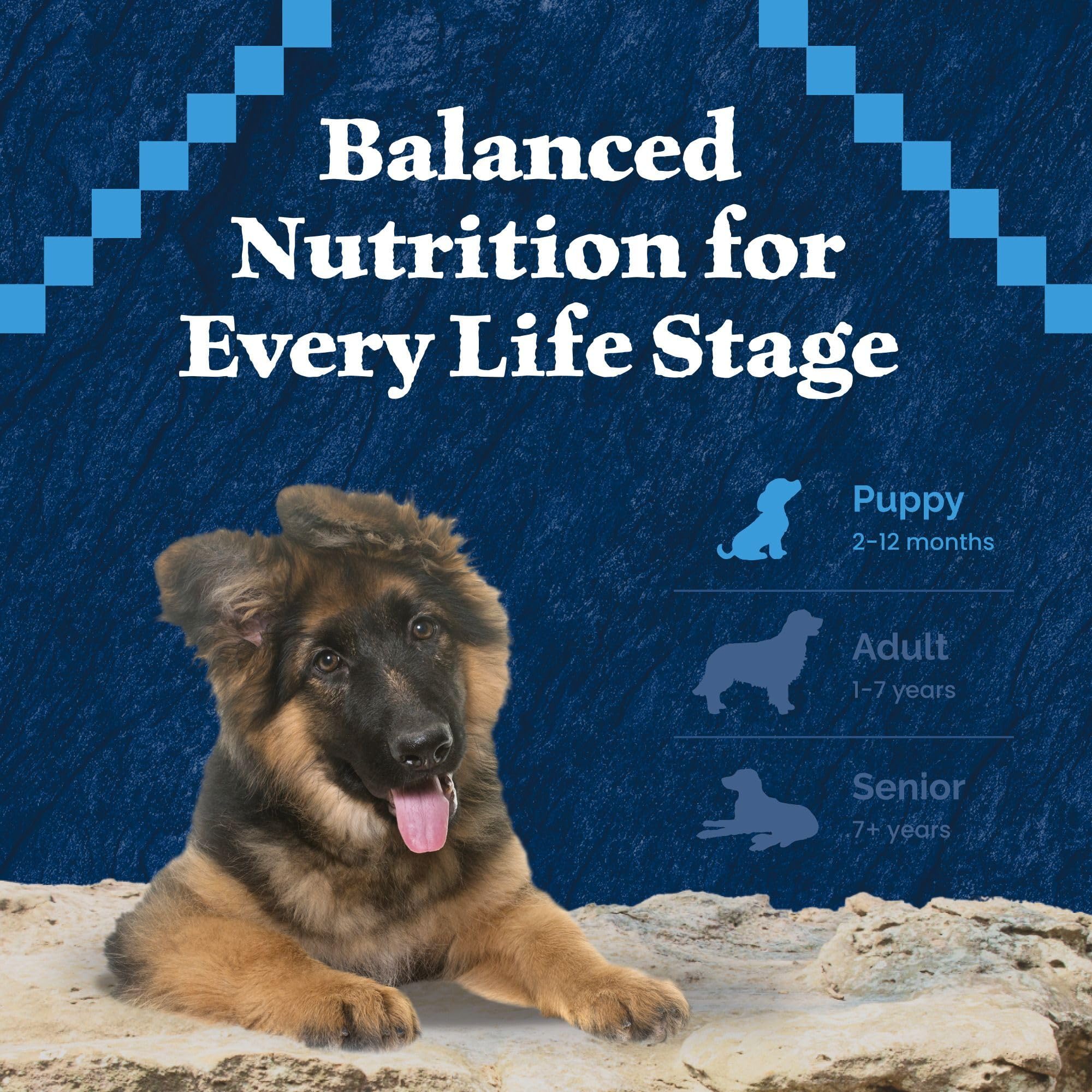 Puppies at mealtime with Blue Buffalo Wilderness Puppy