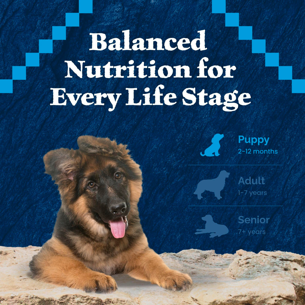 Puppies at mealtime with Blue Buffalo Wilderness Puppy