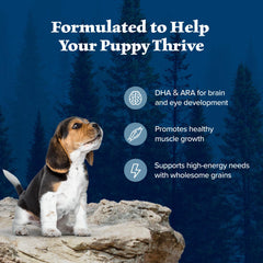 Blue Buffalo Wilderness Puppy image emphasizes real ingredients and absence of poultry by-product meals.