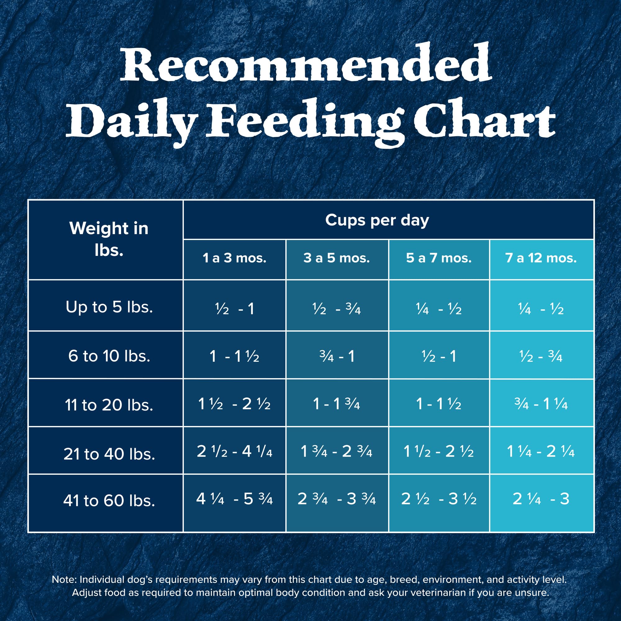 Blue Buffalo Wilderness Puppy feeding with wholesome grains communicates balanced nutrition.
