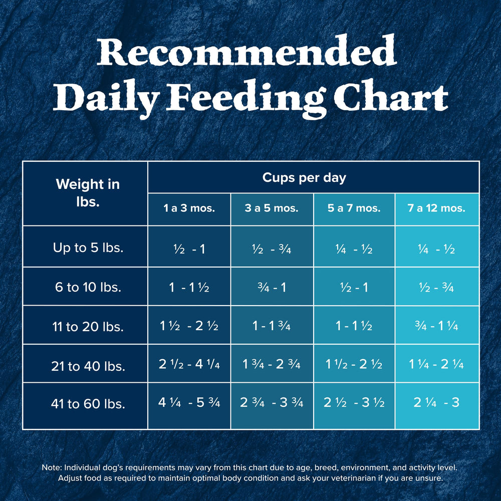 Blue Buffalo Wilderness Puppy feeding with wholesome grains communicates balanced nutrition.