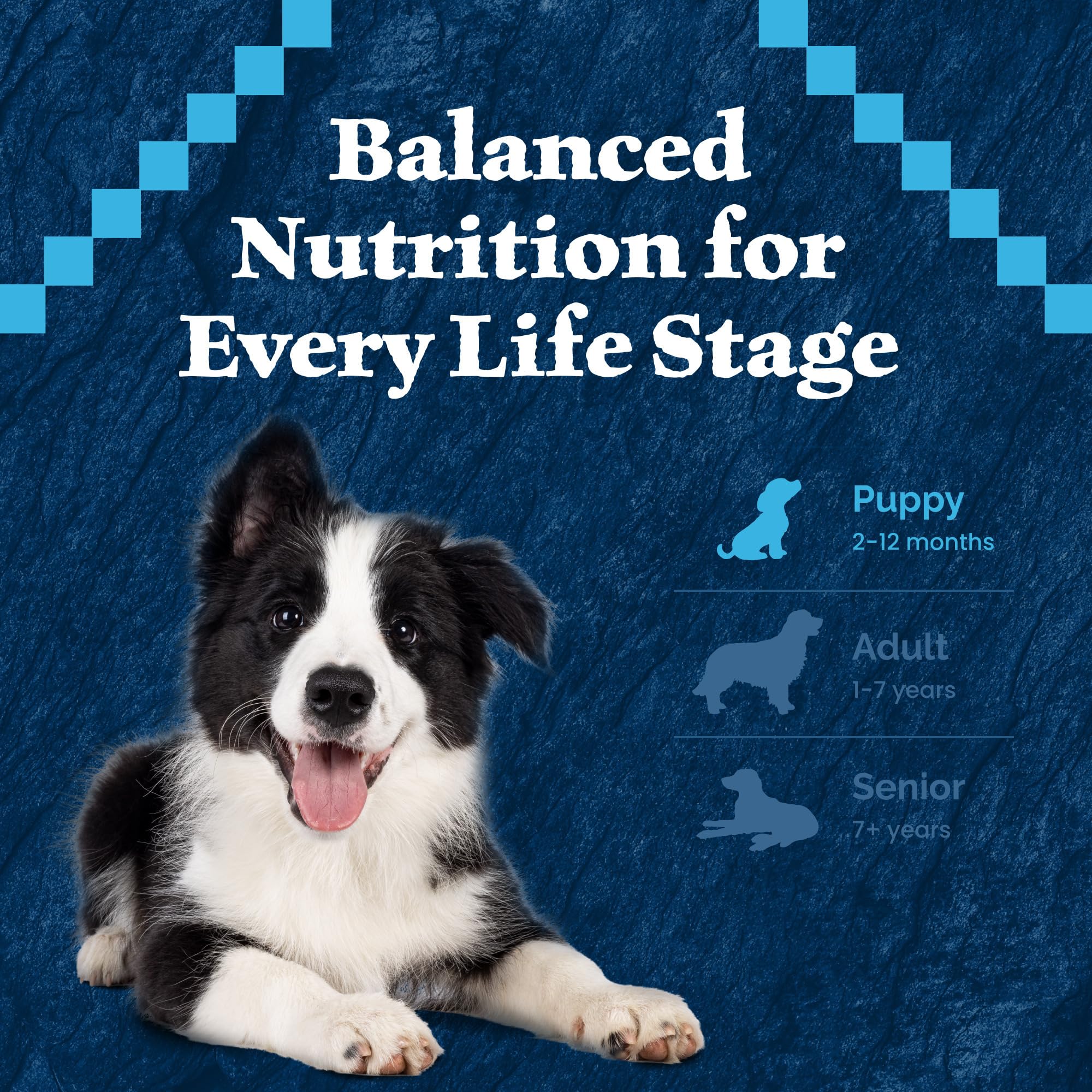 Blue Buffalo Wilderness 4.5-lb bag indicates convenient puppy feeding.