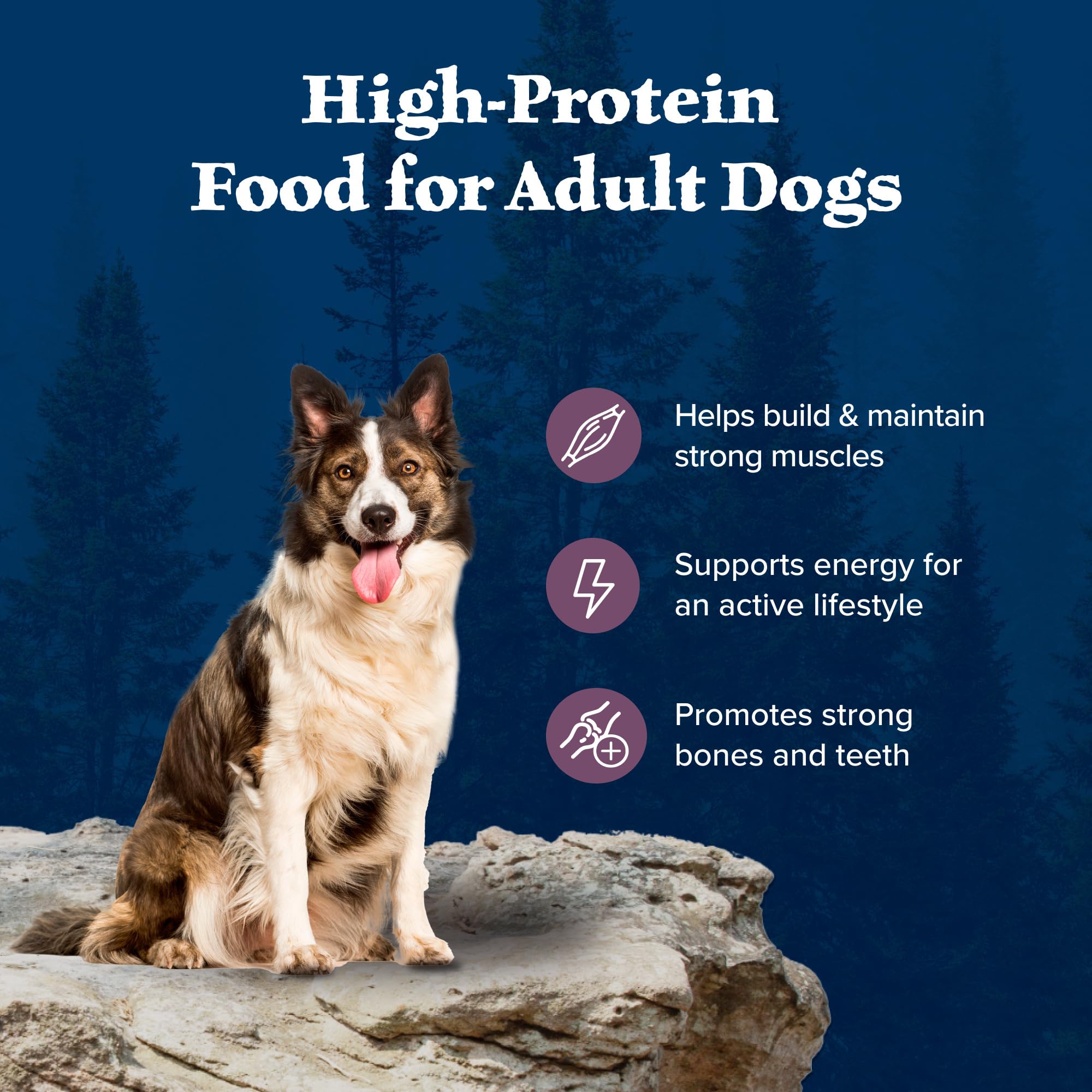 Blue Buffalo Wilderness high-protein kibble promoting an active lifestyle for dogs.
