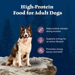 Blue Buffalo Wilderness high-protein kibble promoting an active lifestyle for dogs.