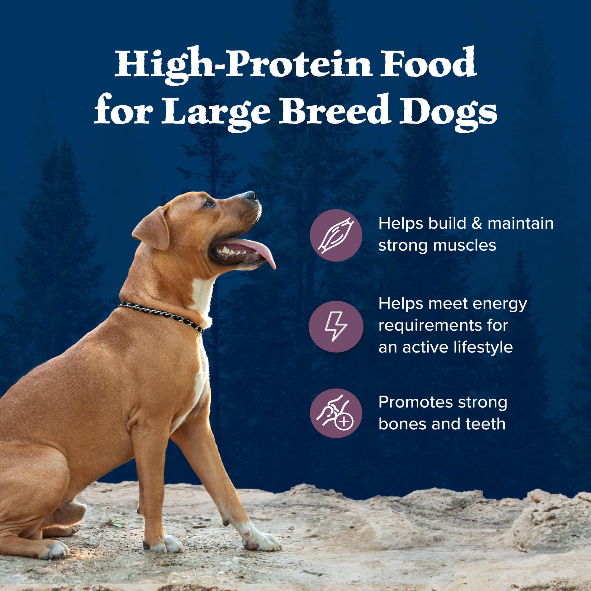 Blue Buffalo Wilderness Rocky Mountain packaging shows absence of poultry by-products