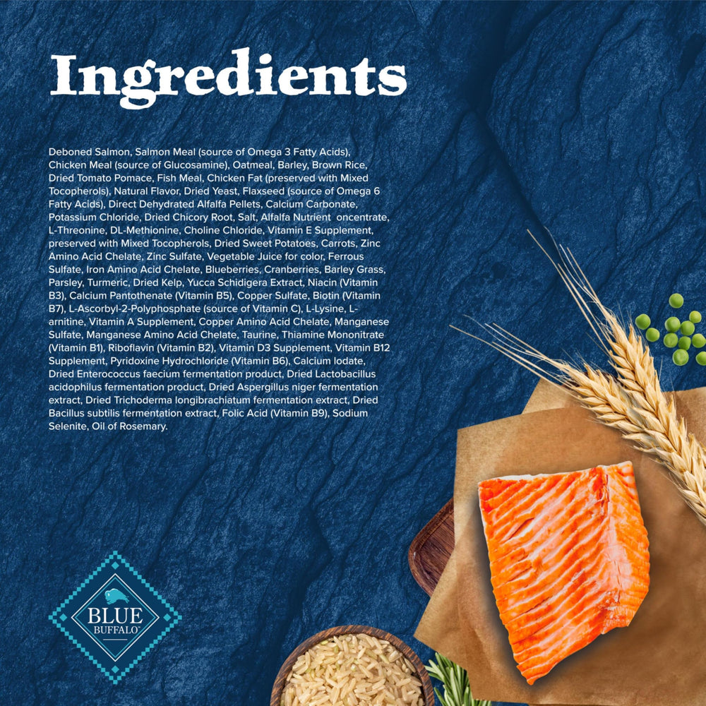 Blue Buffalo Wilderness Salmon bowl image communicates serving suggestions for daily feeding routines.