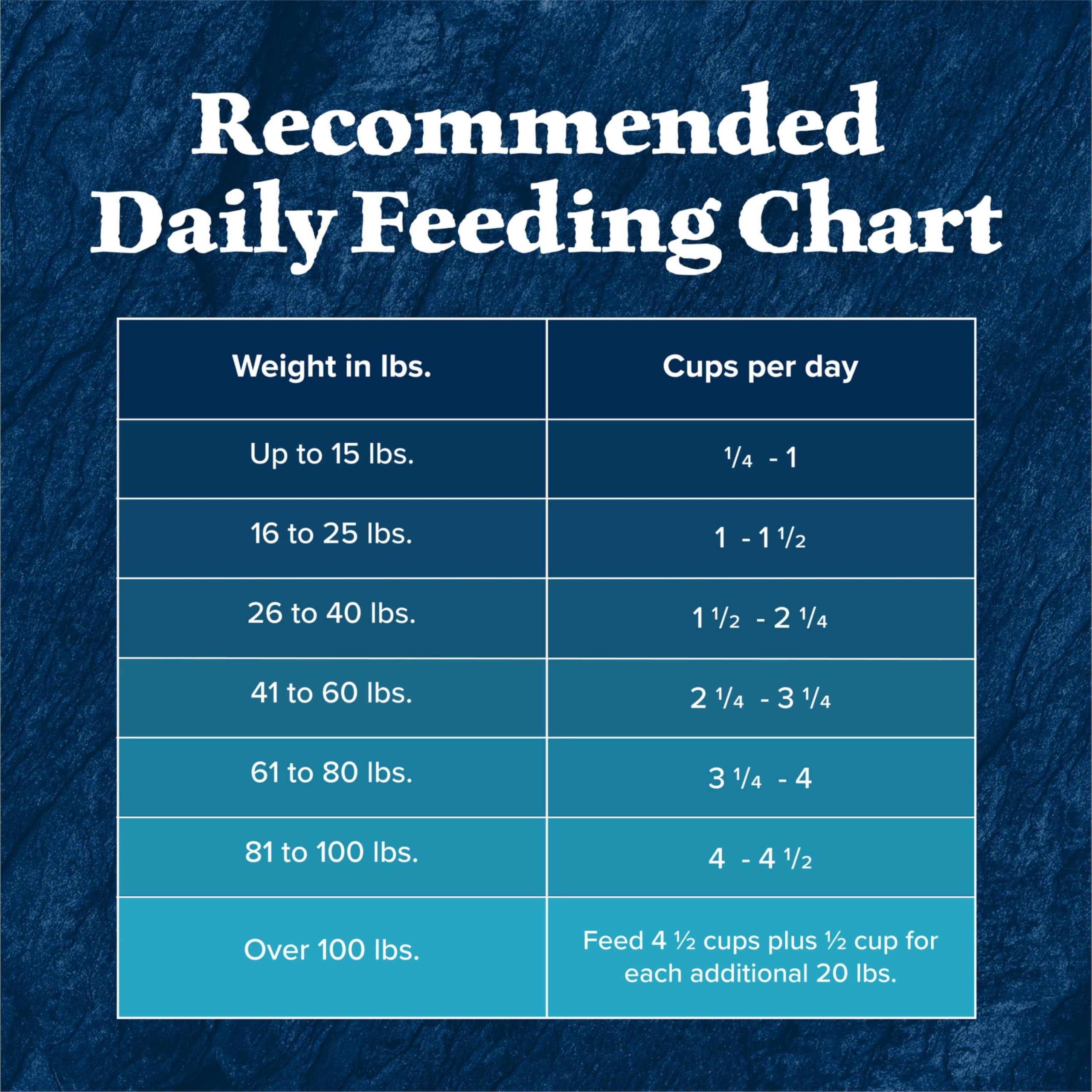 Blue Buffalo Wilderness Salmon 13-lb bag image conveys value and long-term feeding flexibility.