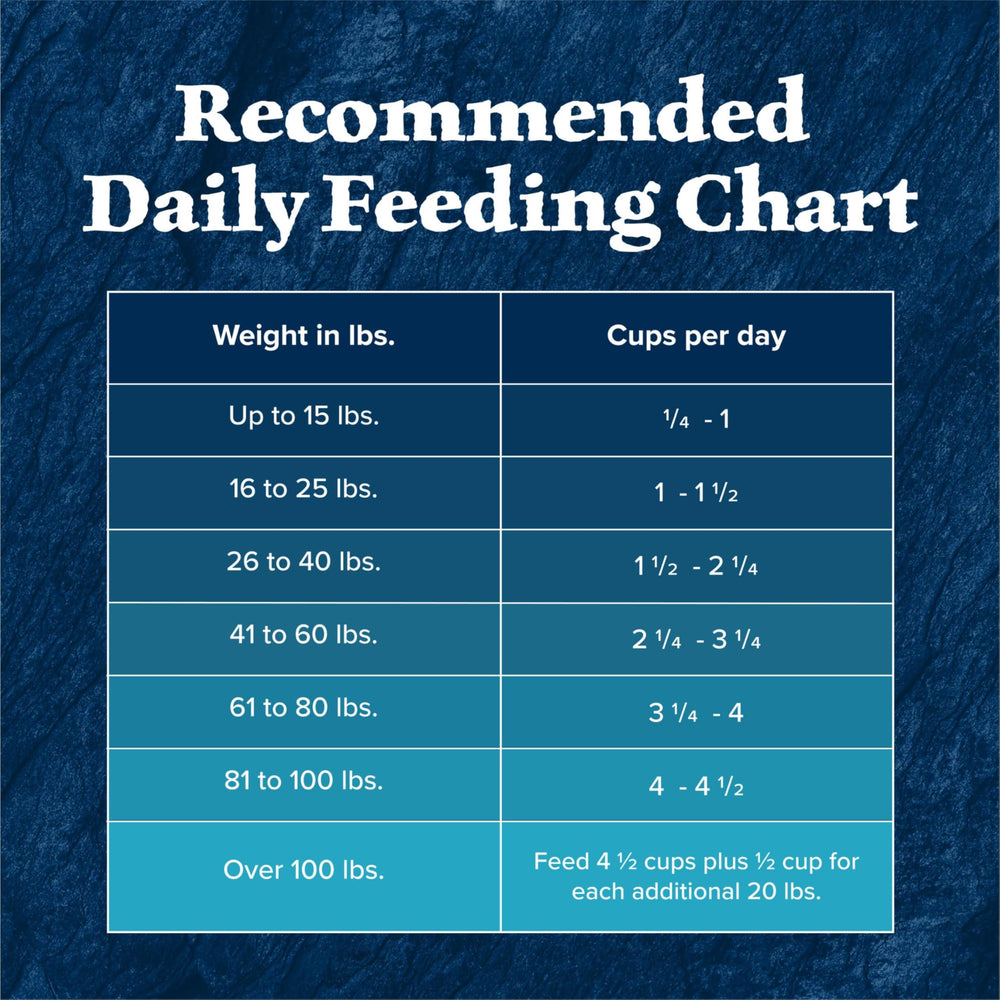 Blue Buffalo Wilderness Salmon 13-lb bag image conveys value and long-term feeding flexibility.