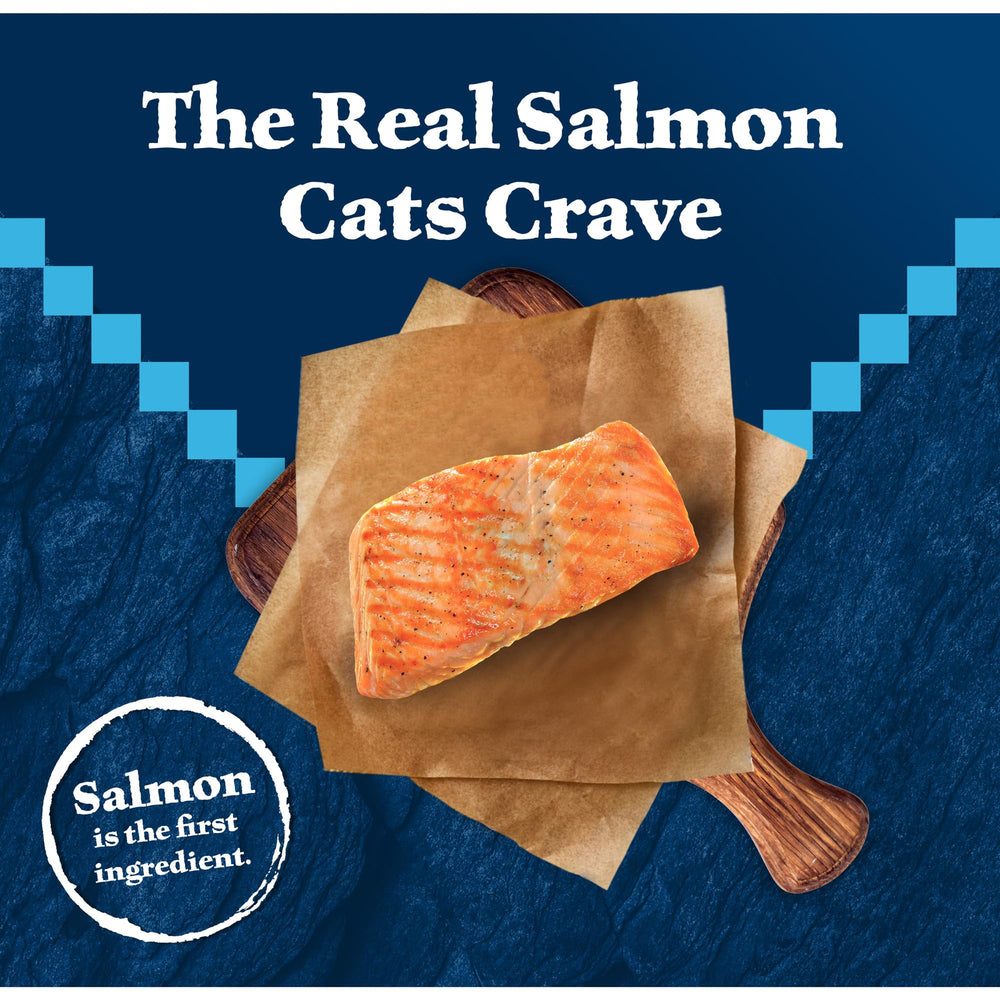 Blue Buffalo Wilderness salmon kibble close-up with crisp texture