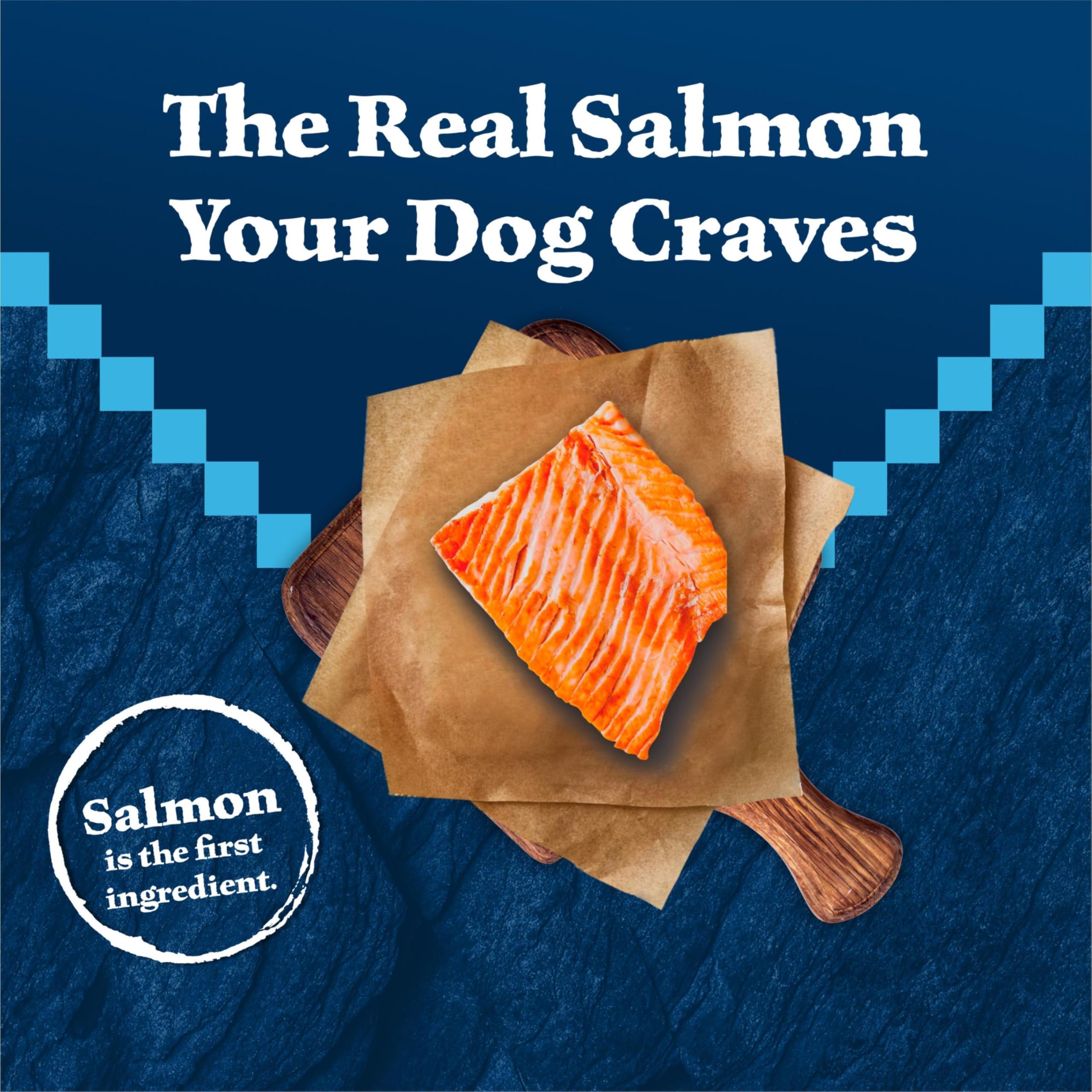 Blue Buffalo Wilderness Salmon kibble close-up emphasizes high-protein formula for active adult dogs.