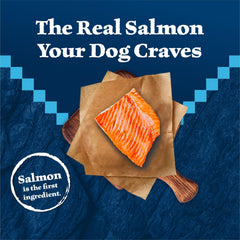 Blue Buffalo Wilderness Salmon kibble close-up emphasizes high-protein formula for active adult dogs.