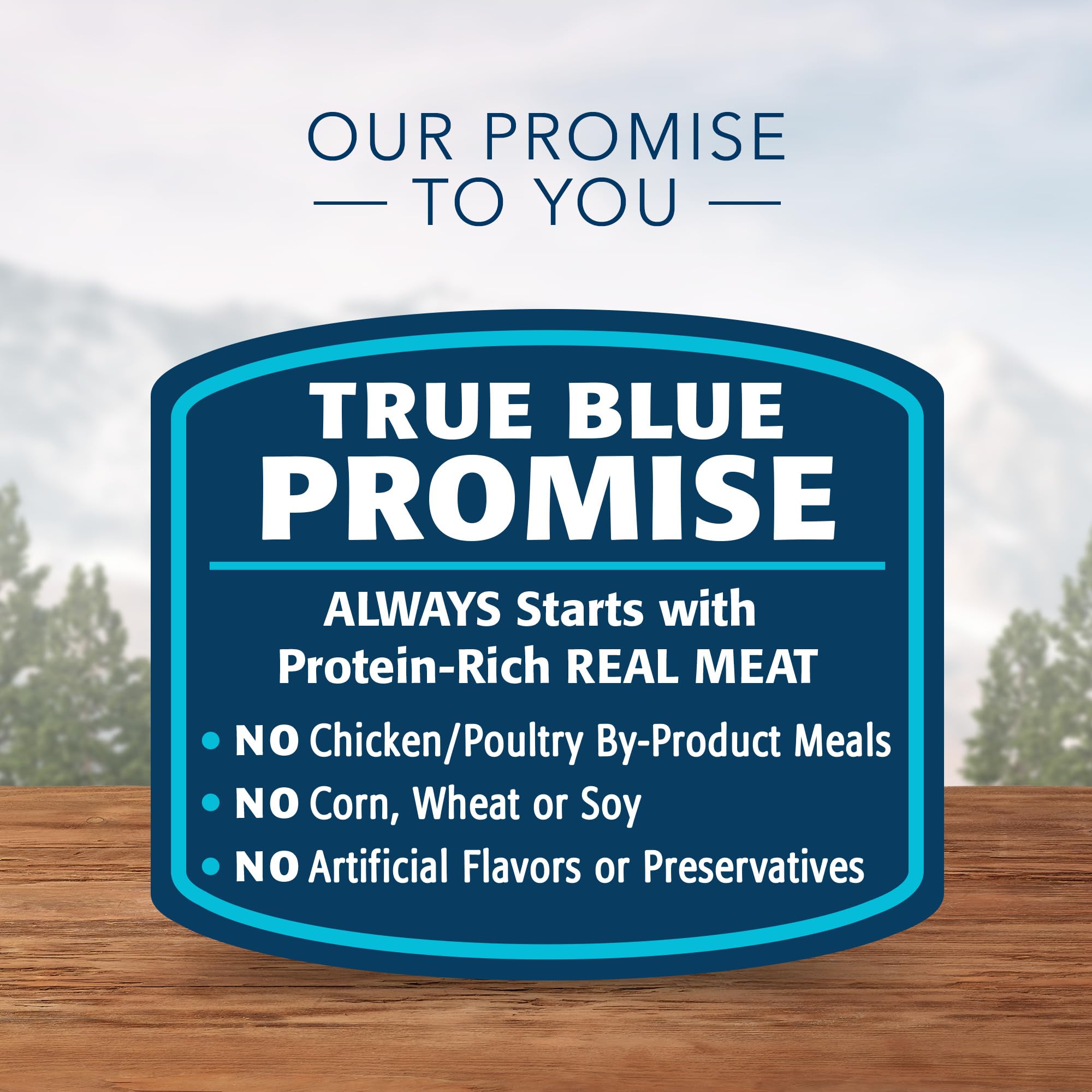 Blue Buffalo Wilderness salmon pâté can; natural ingredients and vitamins.