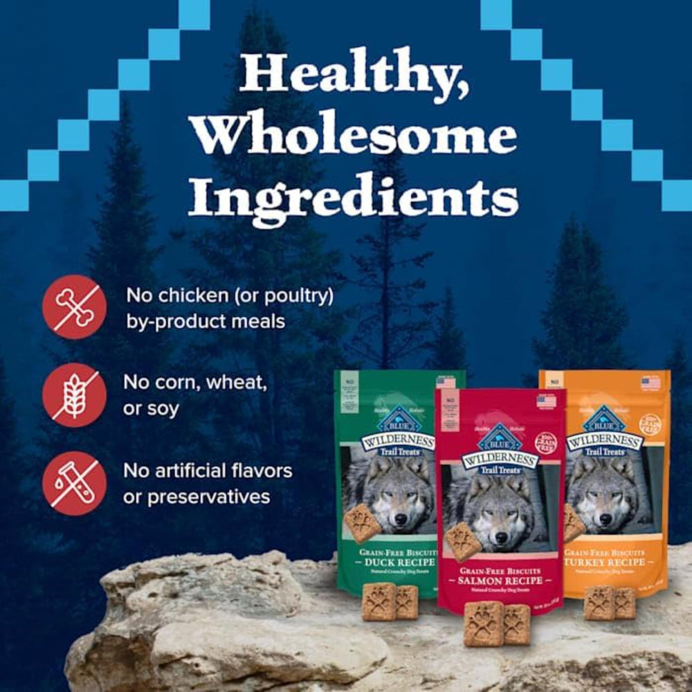 Blue Buffalo Wilderness salmon recipe biscuit close-up reveals flavorful fish-forward bite.