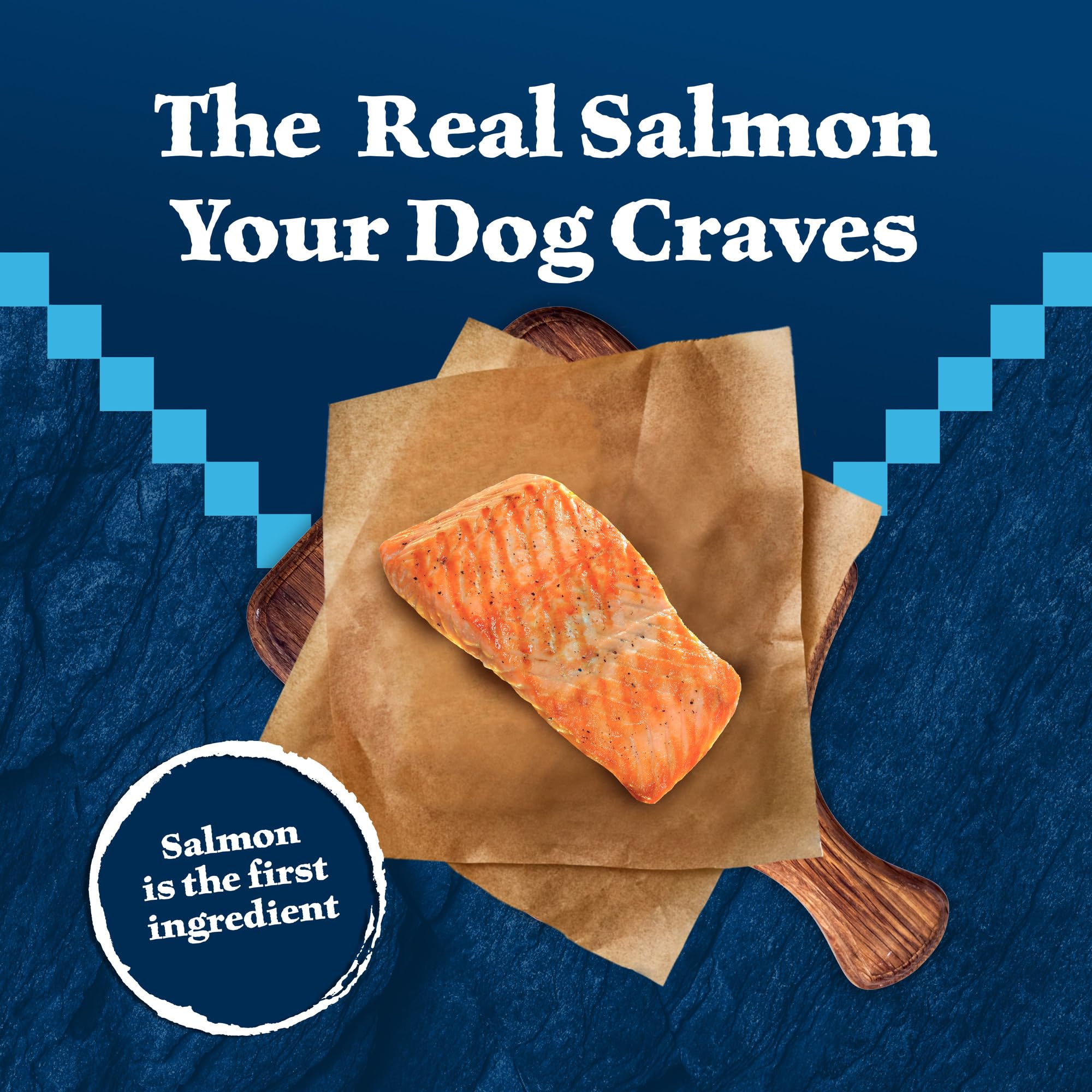 Blue Buffalo Wilderness Salmon Recipe LifeSource Bits support immune-ready nutrition