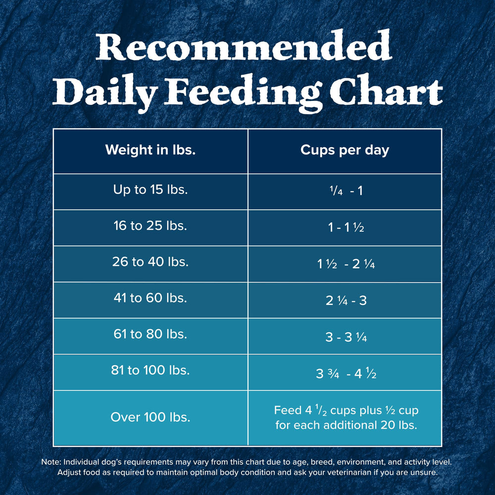 Blue Buffalo Wilderness Salmon Recipe premium kibble for everyday dog meals