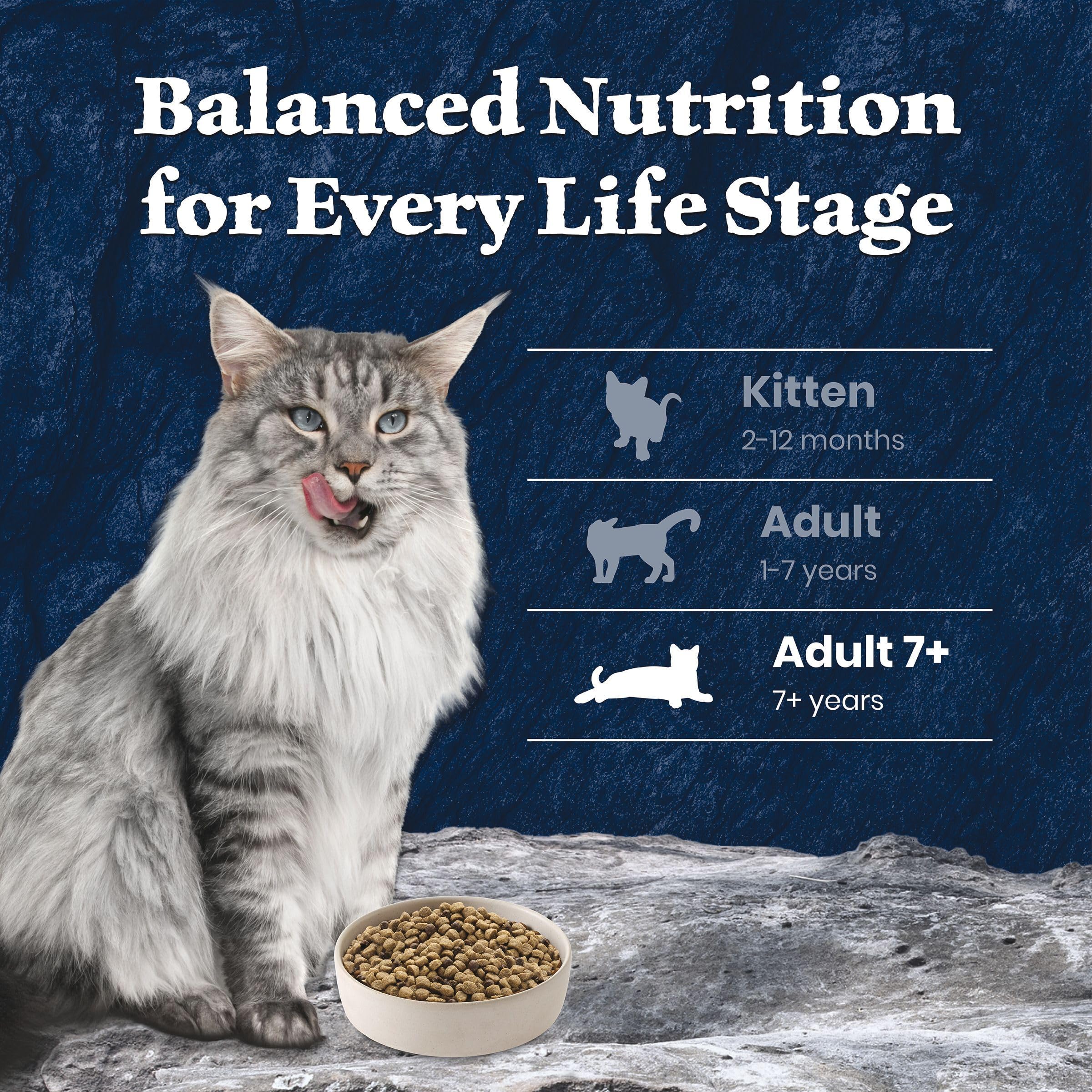 Blue Buffalo Wilderness senior energy dry kibble designed for aging cats
