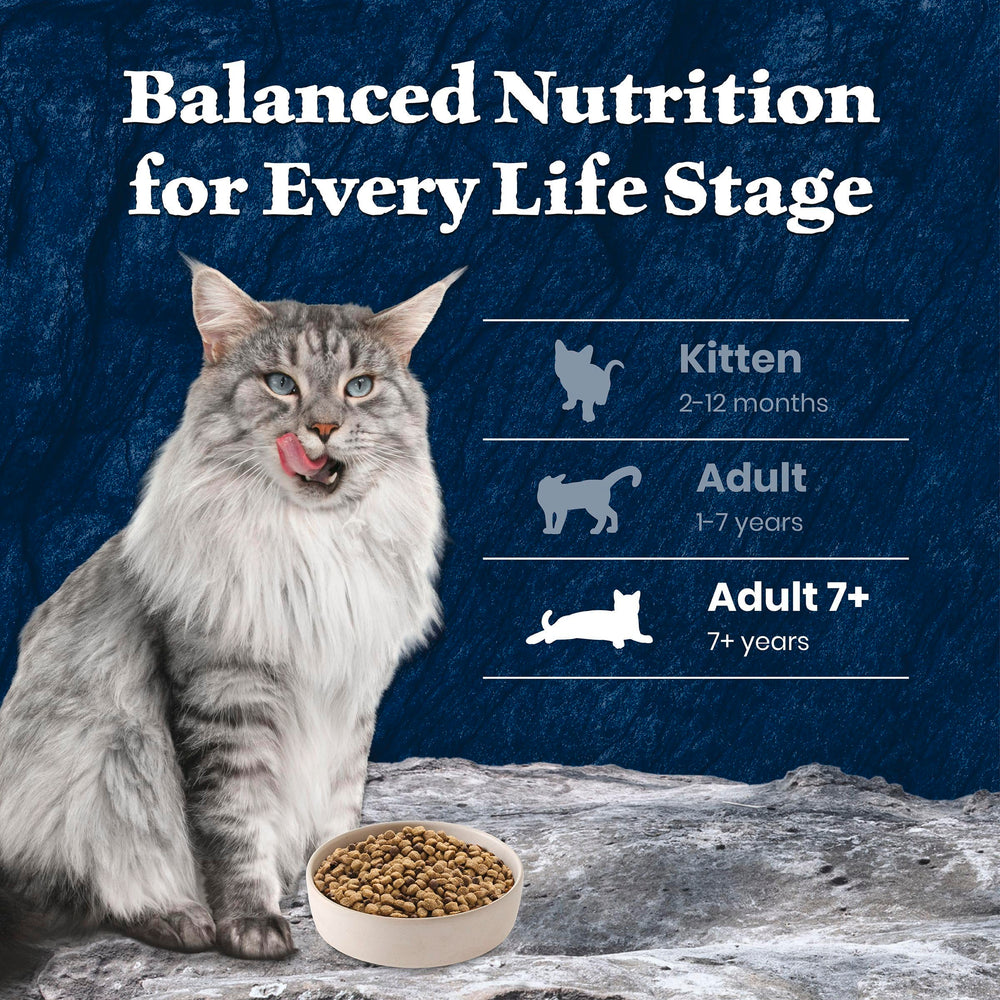 Blue Buffalo Wilderness senior energy dry kibble designed for aging cats
