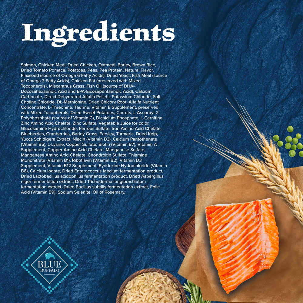 Blue Buffalo Wilderness Senior Energy and Nutrition image suggests vitality