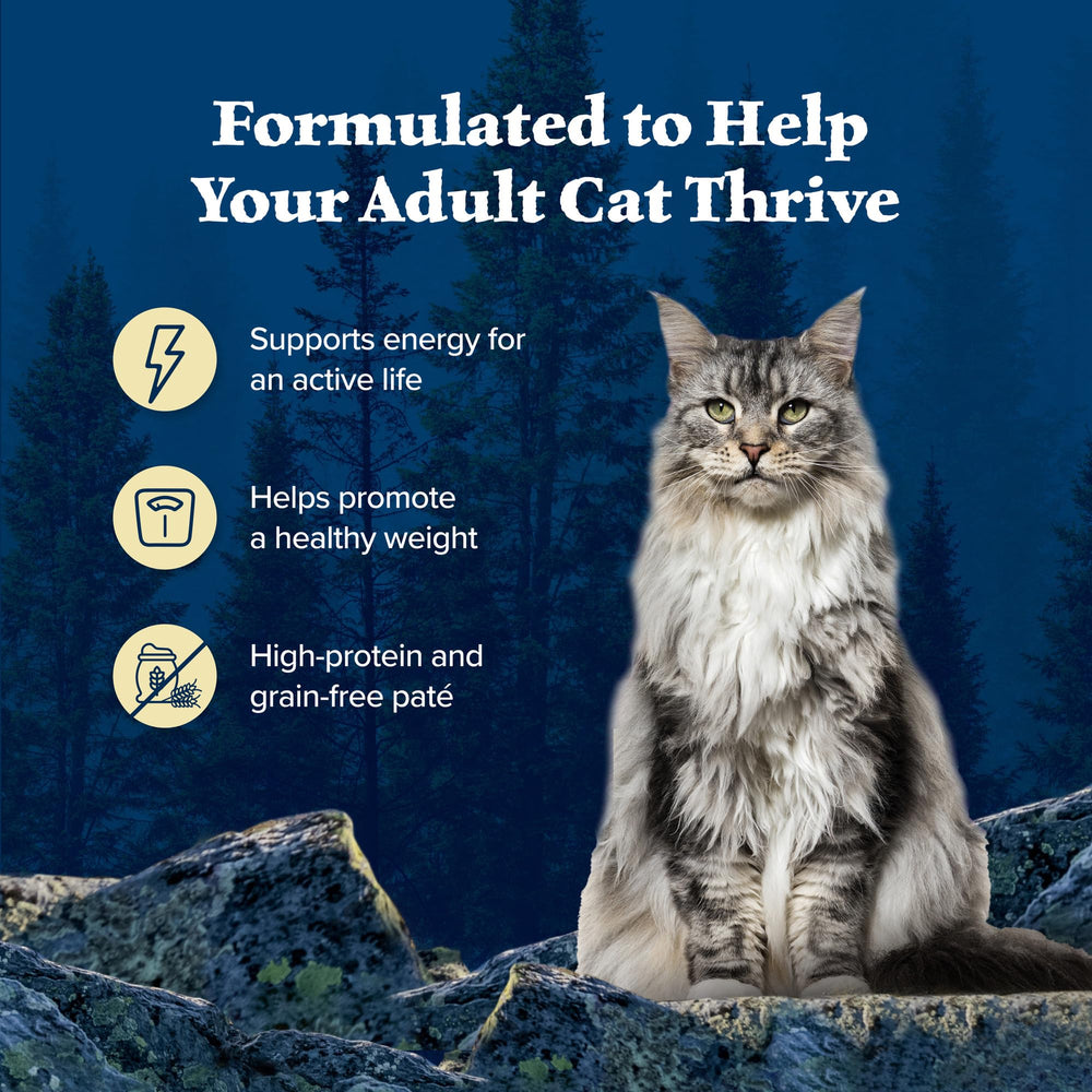Blue Buffalo Wilderness serving suggestion with adult cat meal ready to serve