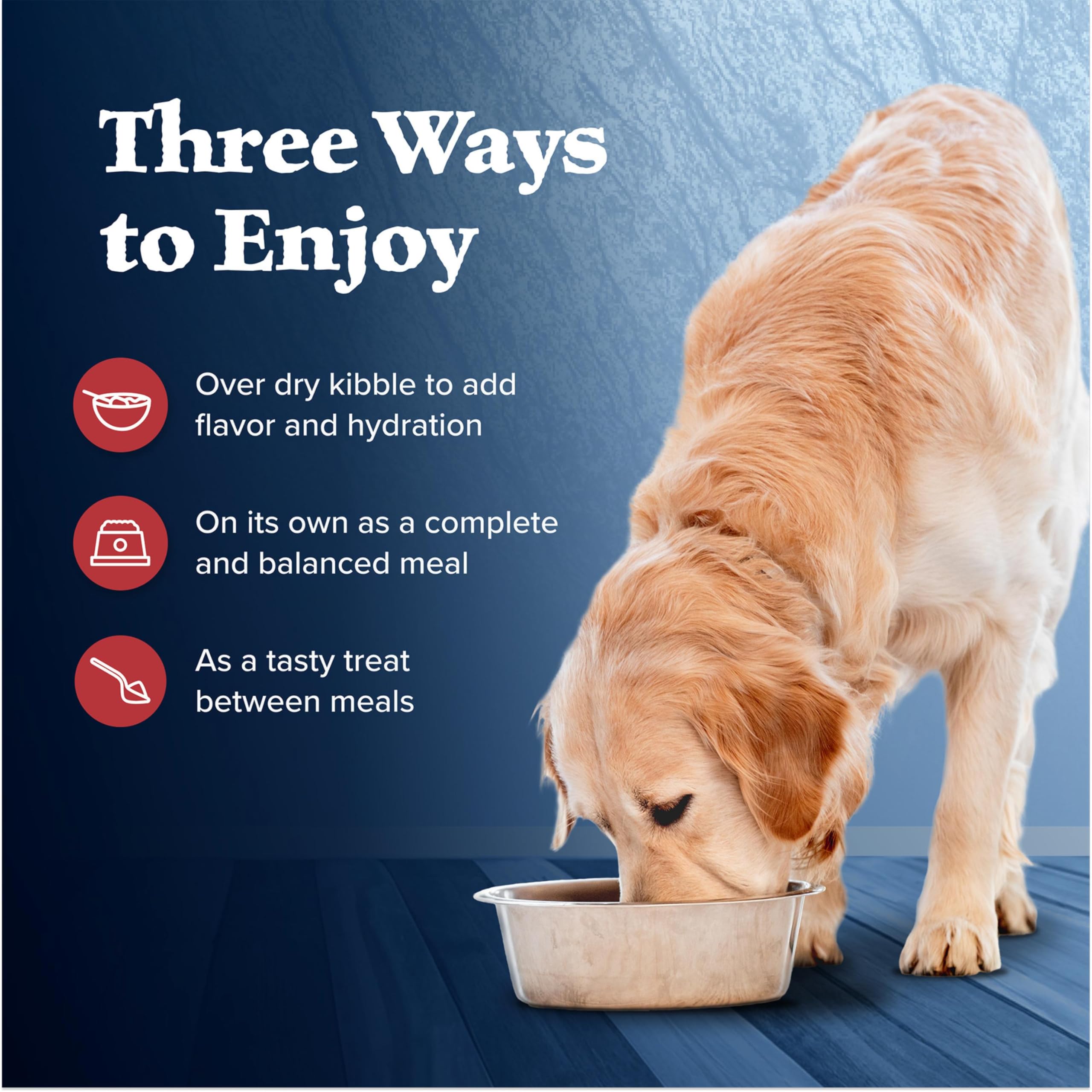 Serving bowl with Blue Buffalo Wilderness wet dog food ready to serve.